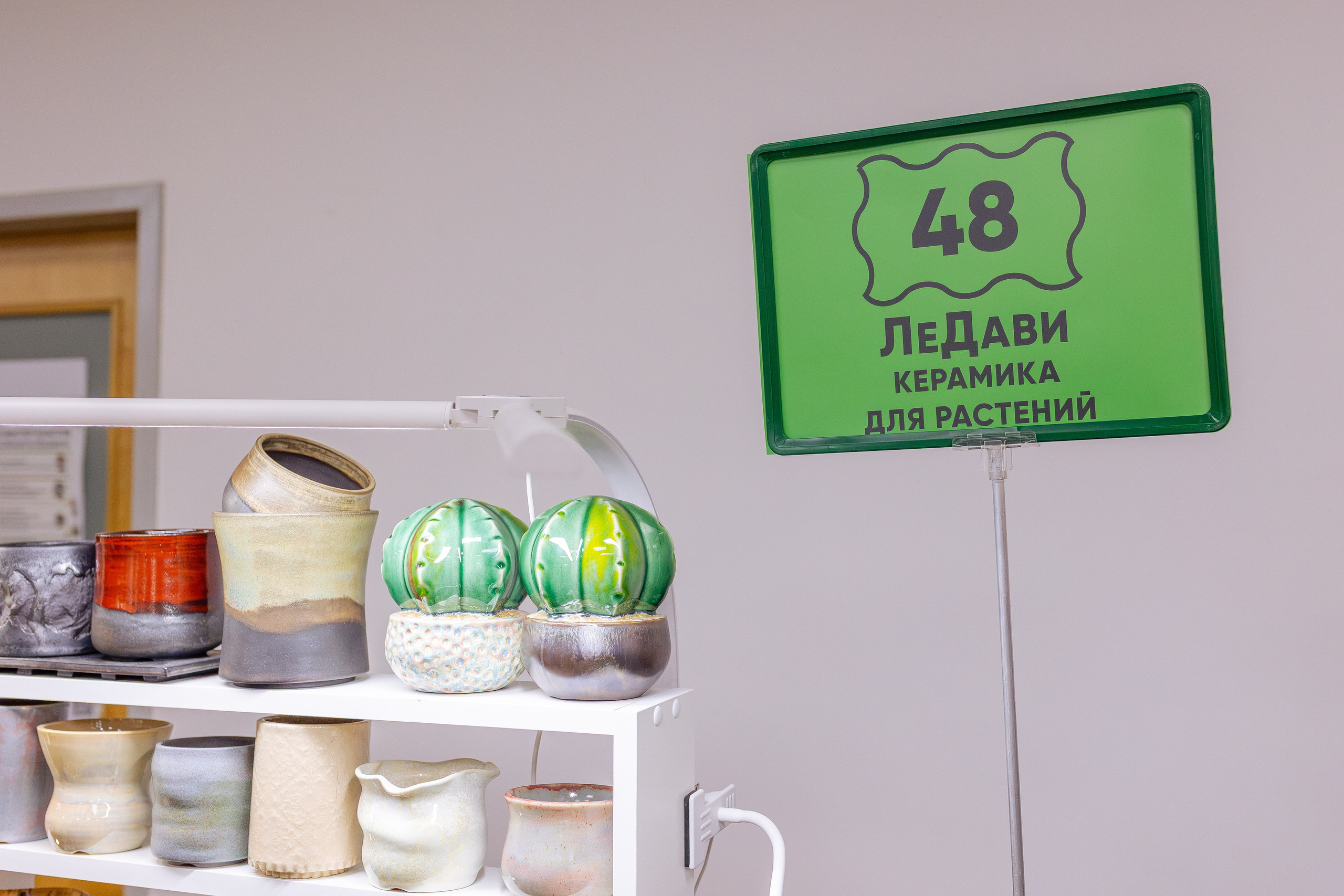 Орхидиум май 2026. Александра Куликова фотограф, Москва