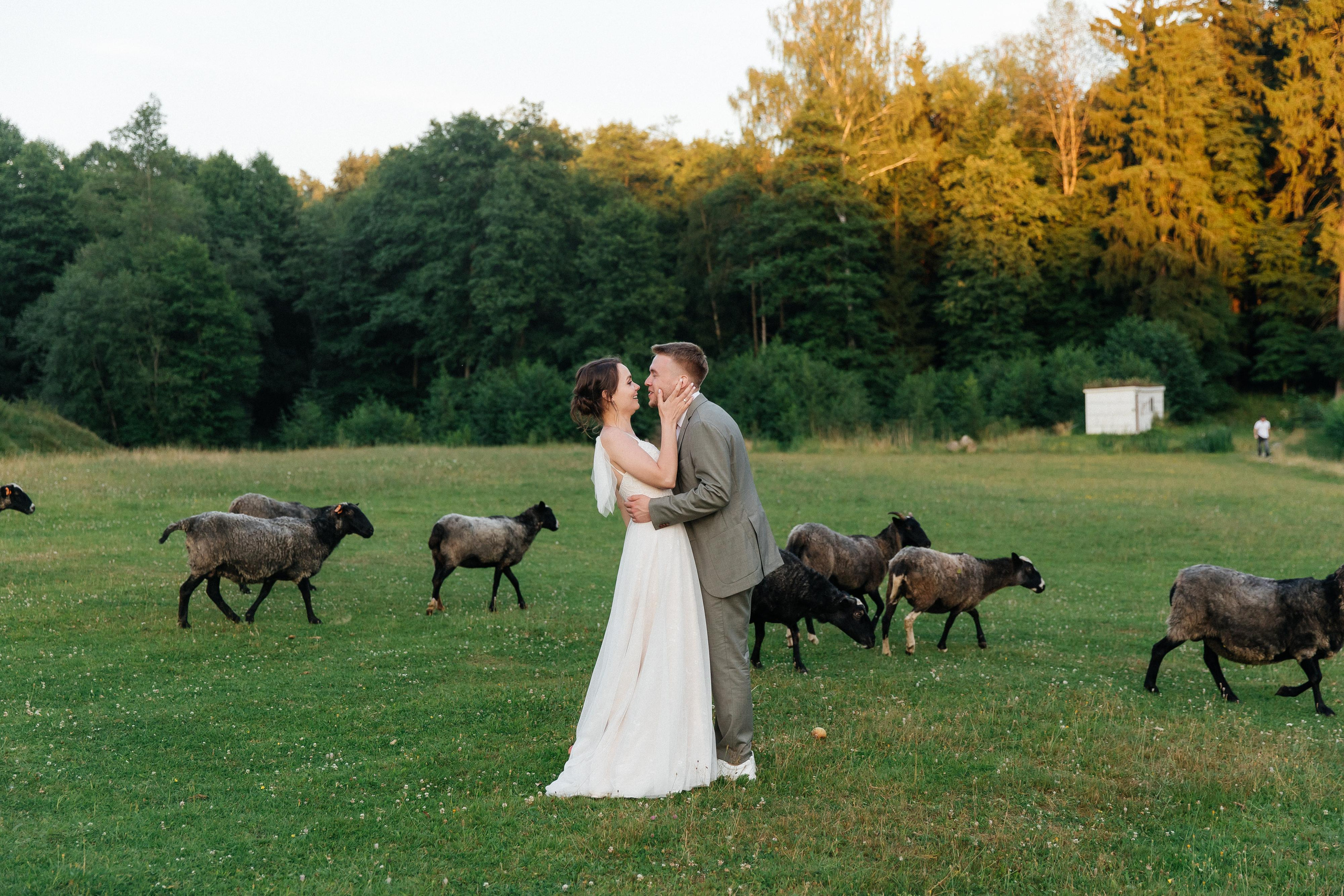 Свадебный и репортажный фотограф
