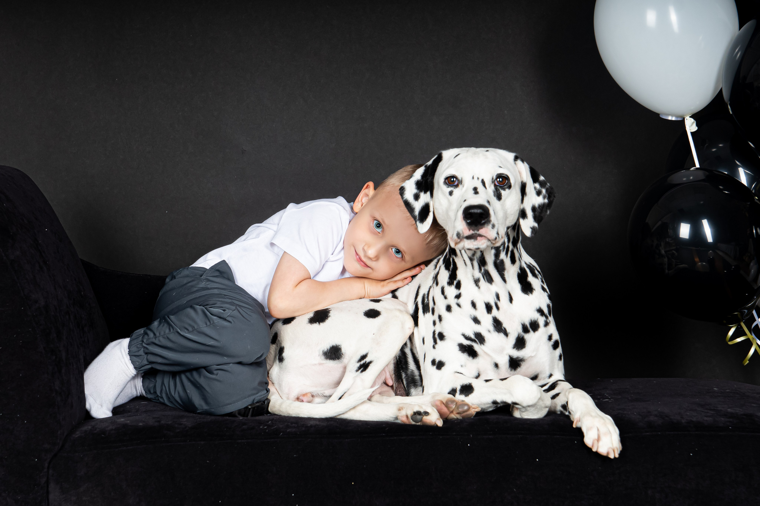 Далматины 2024. Фотограф на Камчатке Анна Моргачёва. Семейные и детские съёмки