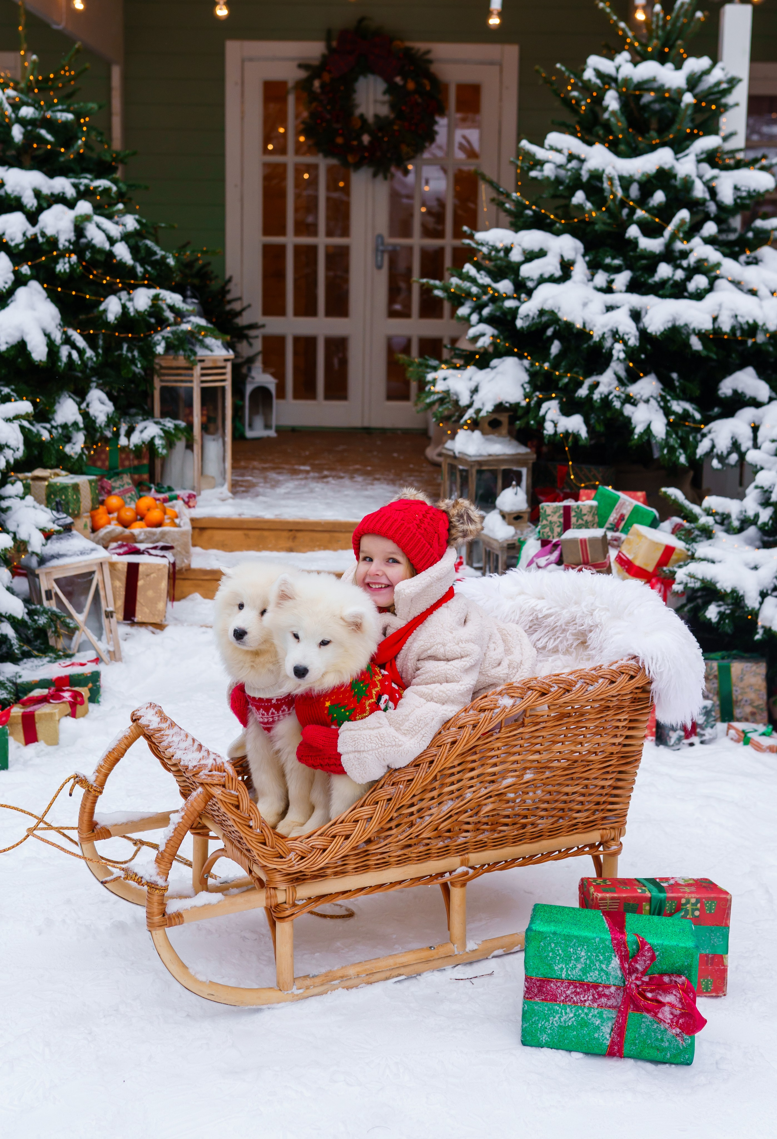 Новый год 2025-2026. Семейный и детский фотограф Долгопрудный, Мария Кухтарова