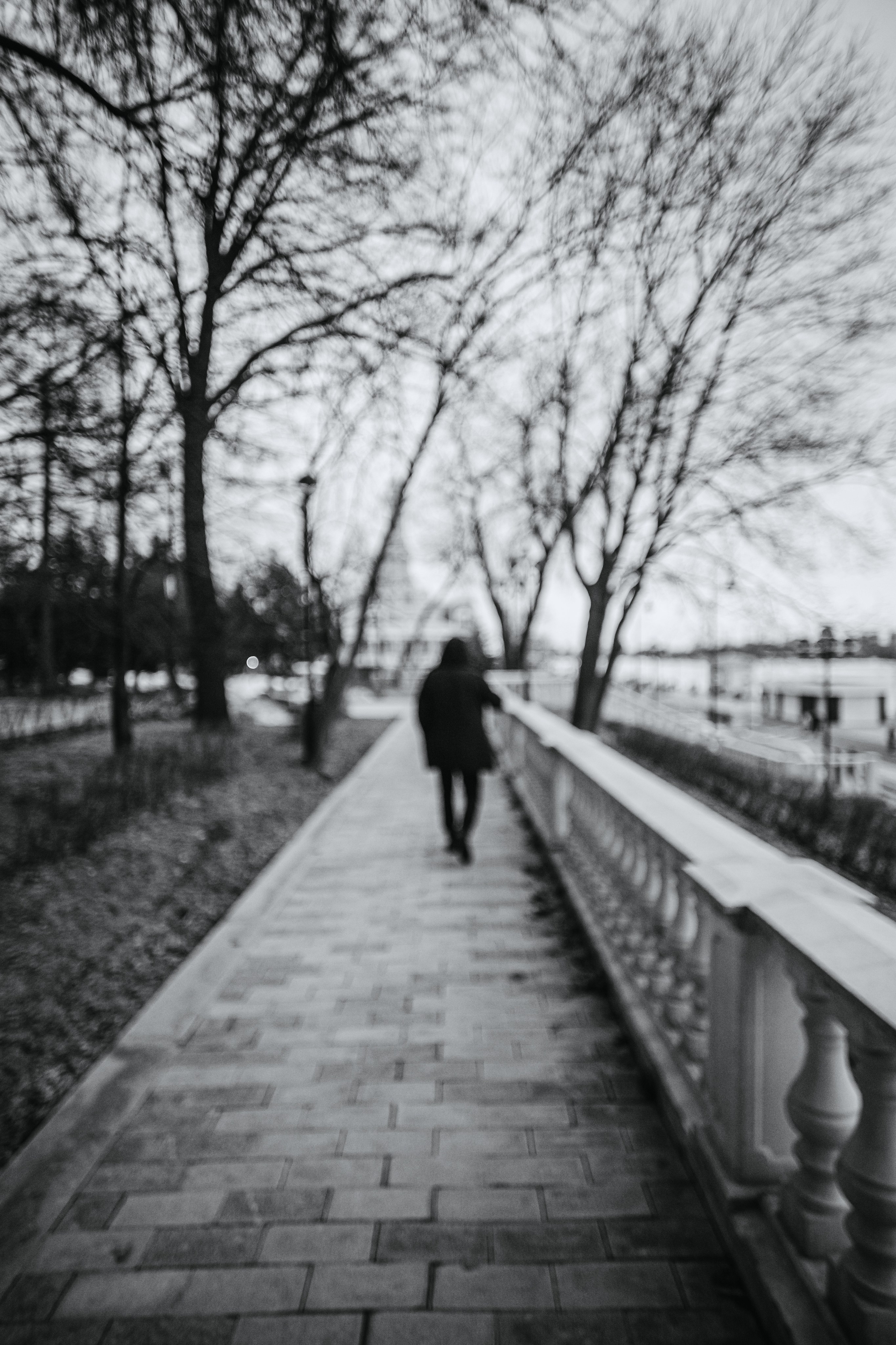 Яков. Фотограф-анималист Татьяна Степанова