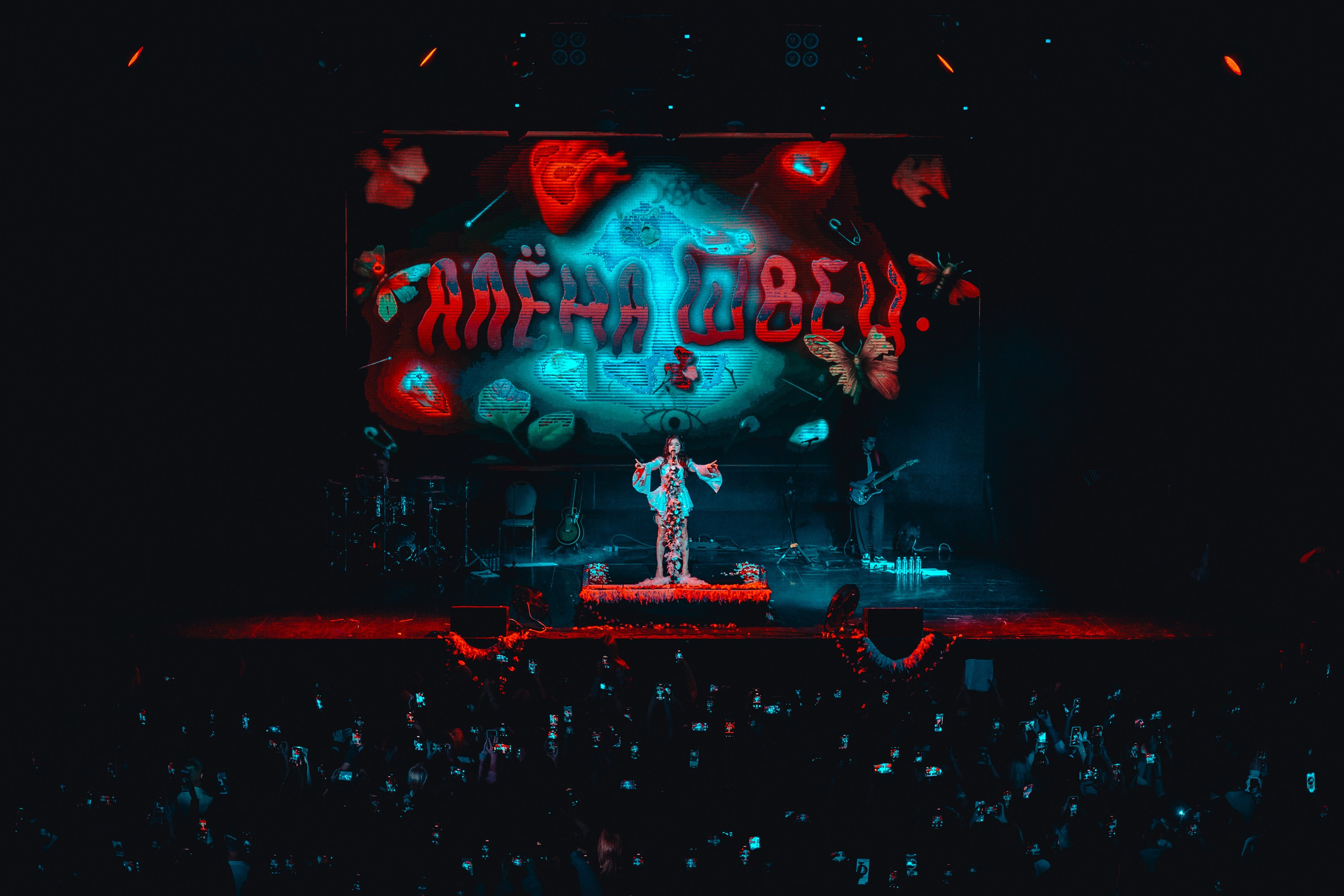 Алена Швец. Магия музыки в кадре: Концертная Фотография