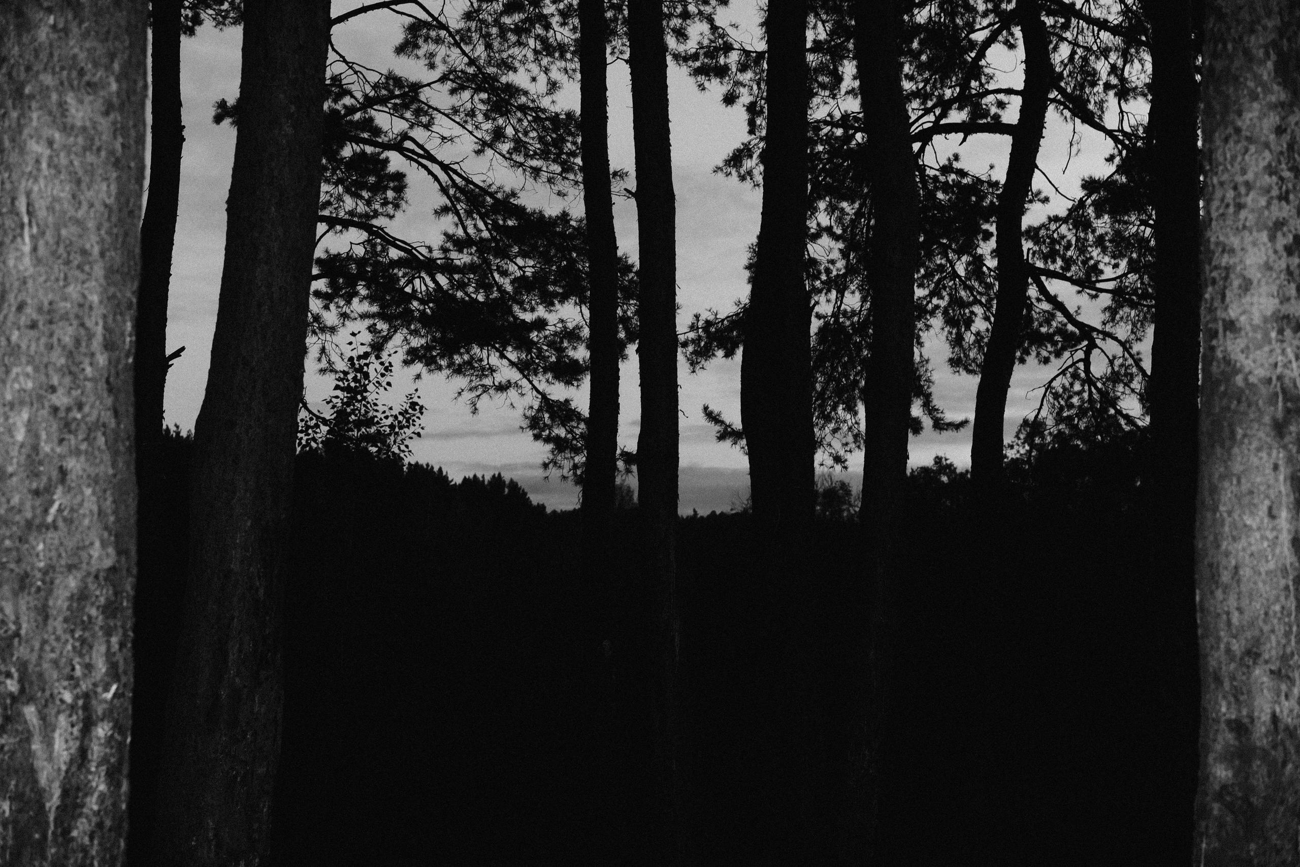 Улица Балтийская. Veronika Popadeikina Photographer