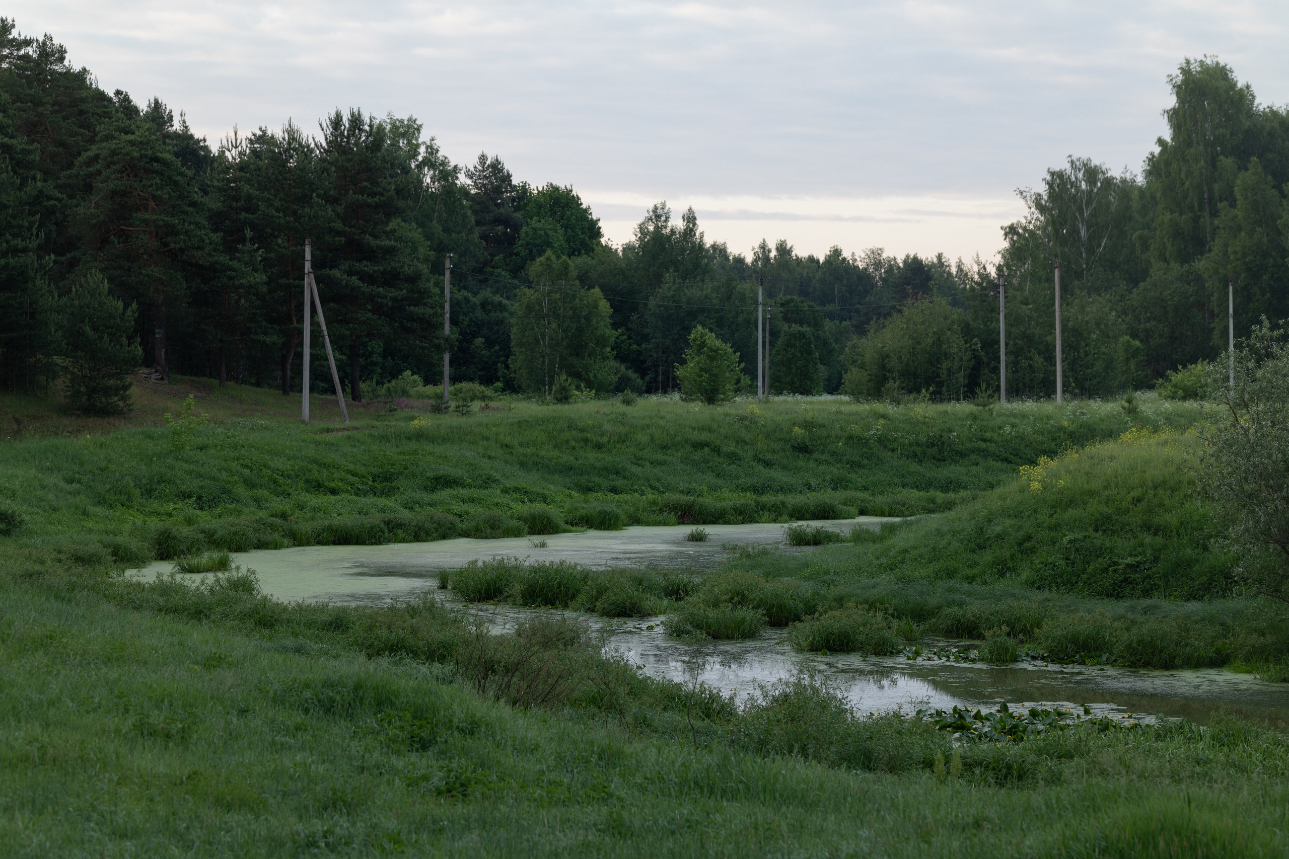 Пейзажи фотографа Виктор Степанов. Фотограф Виктор Степанов
