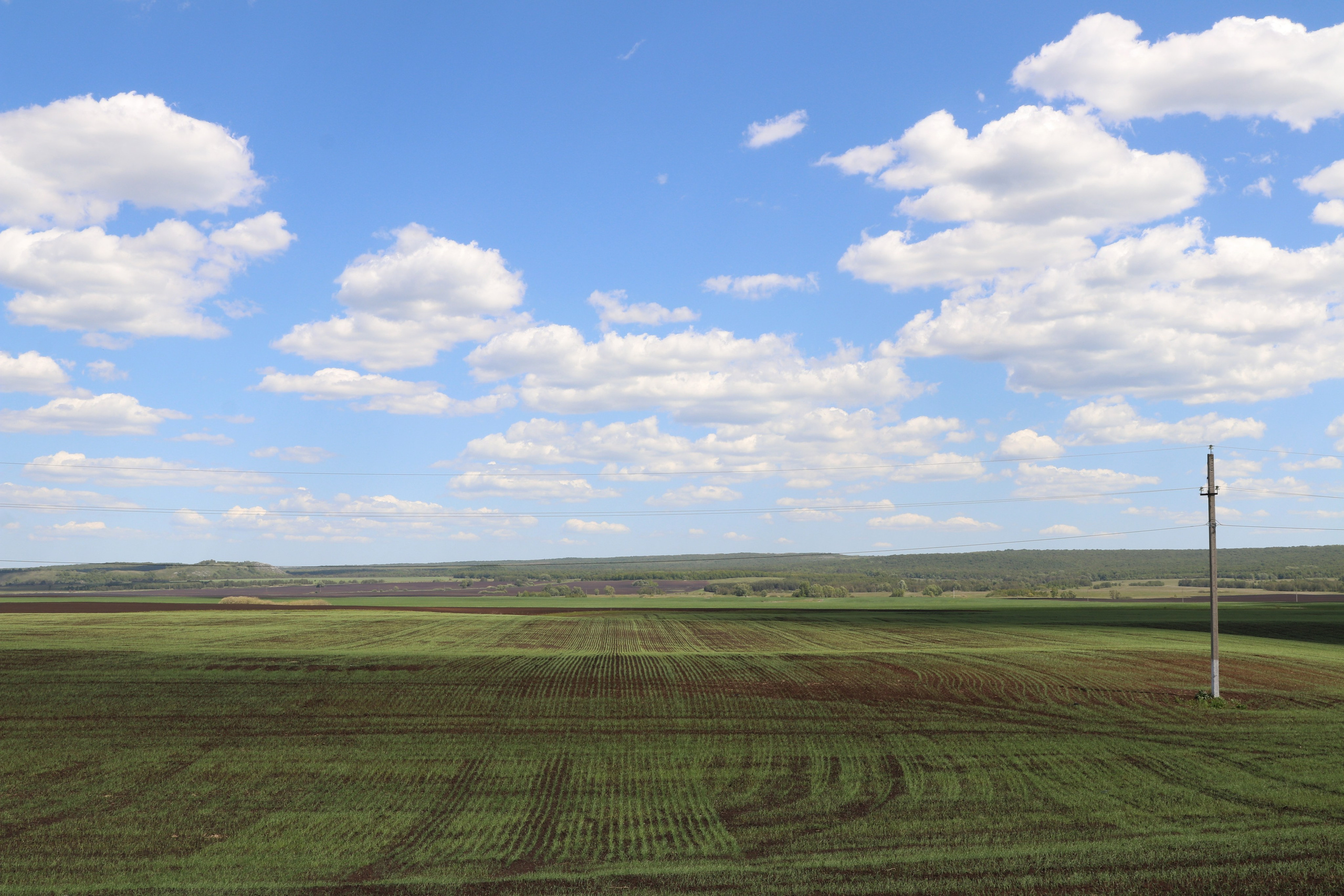 Велопоход Уфа — Мелеуз. Май 2024. Путешественник-фотограф из Санкт-Петербурга Татьяна Свистулина