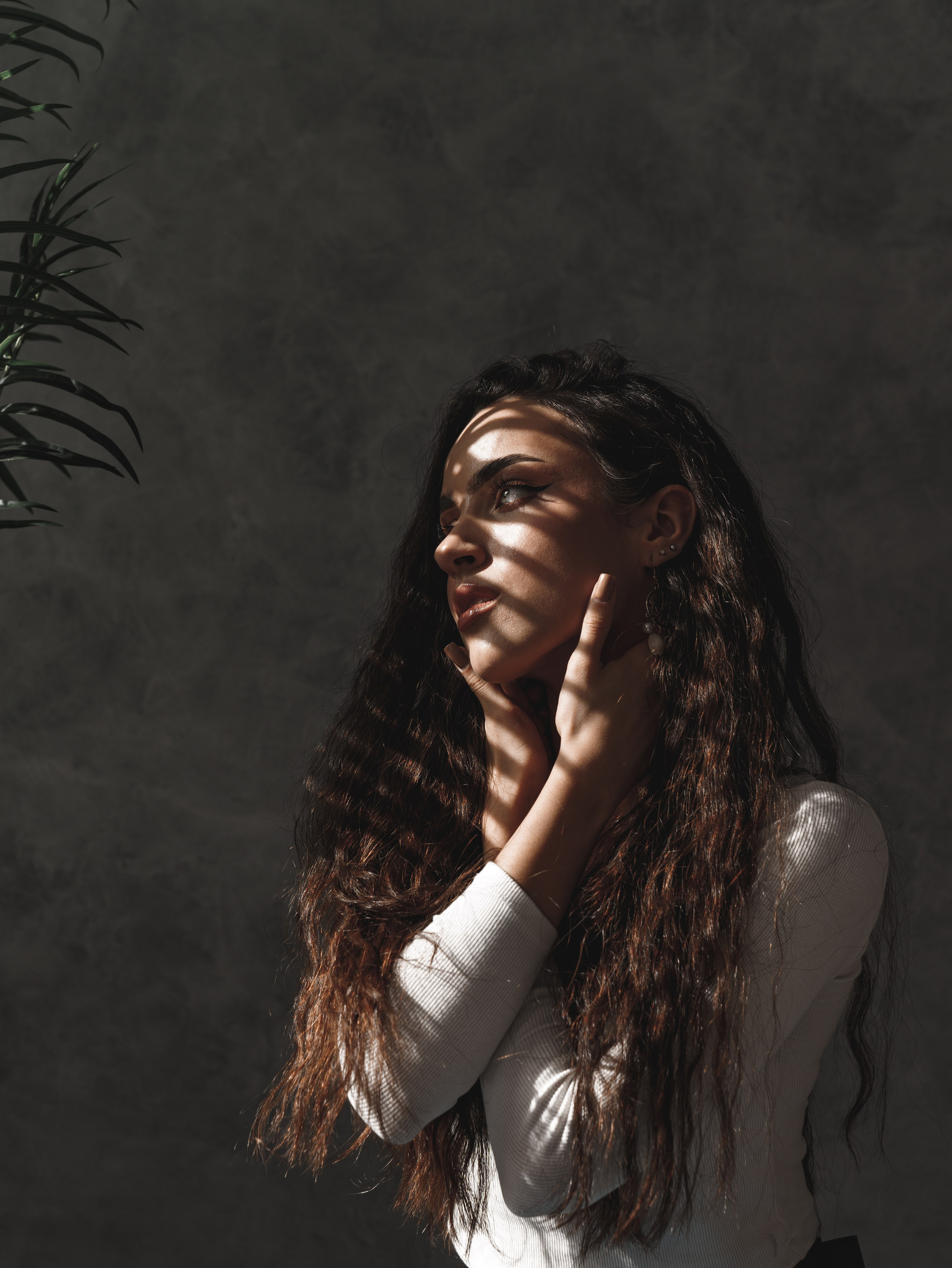 TOMERIS. Фотограф TAULAN_1