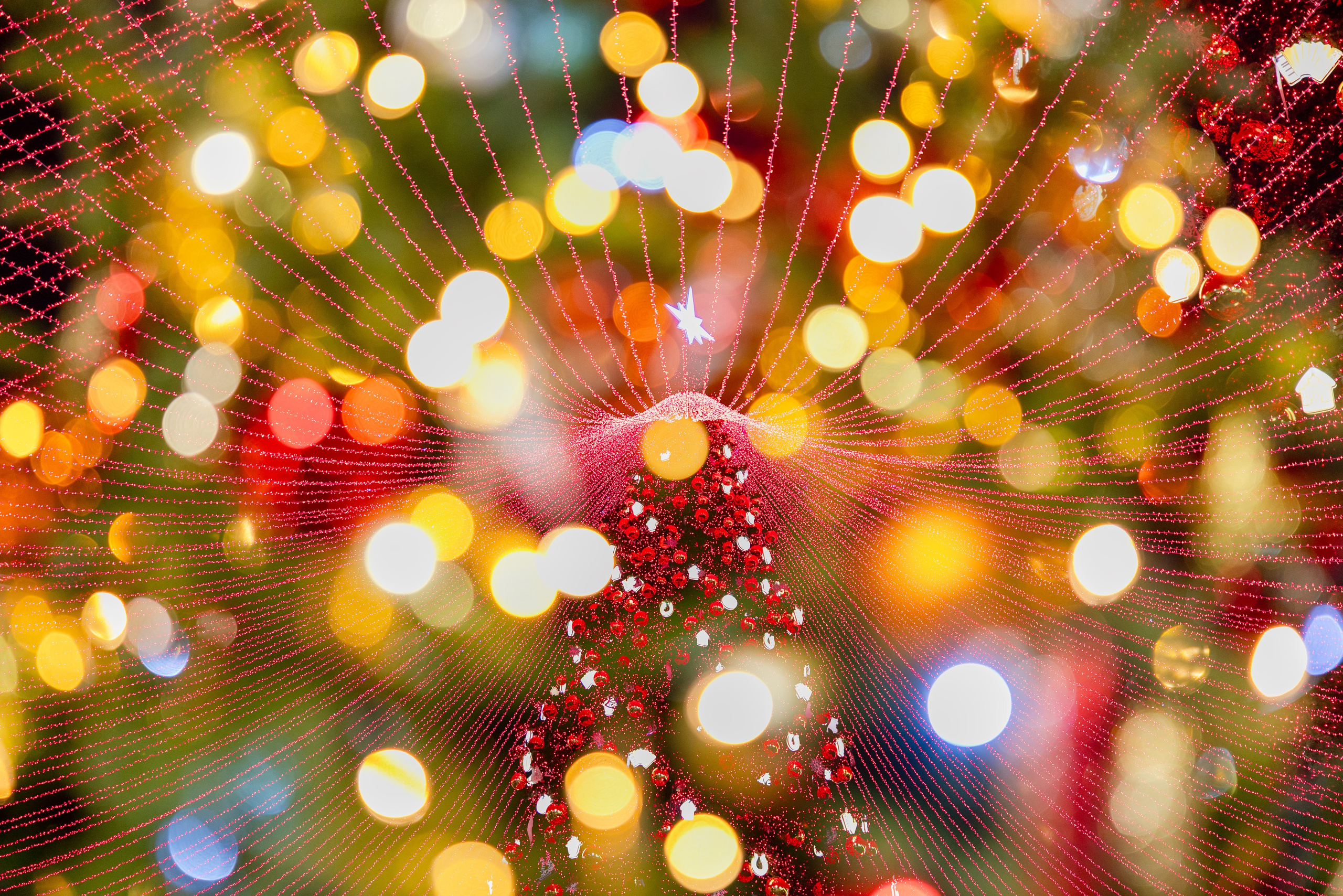 Главная Новогодняя Ель города — Героя -Тула 2025–2026 гг. Фотограф в Туле Крупский АнДРей. Фотостудия «КАДР71» в Туле