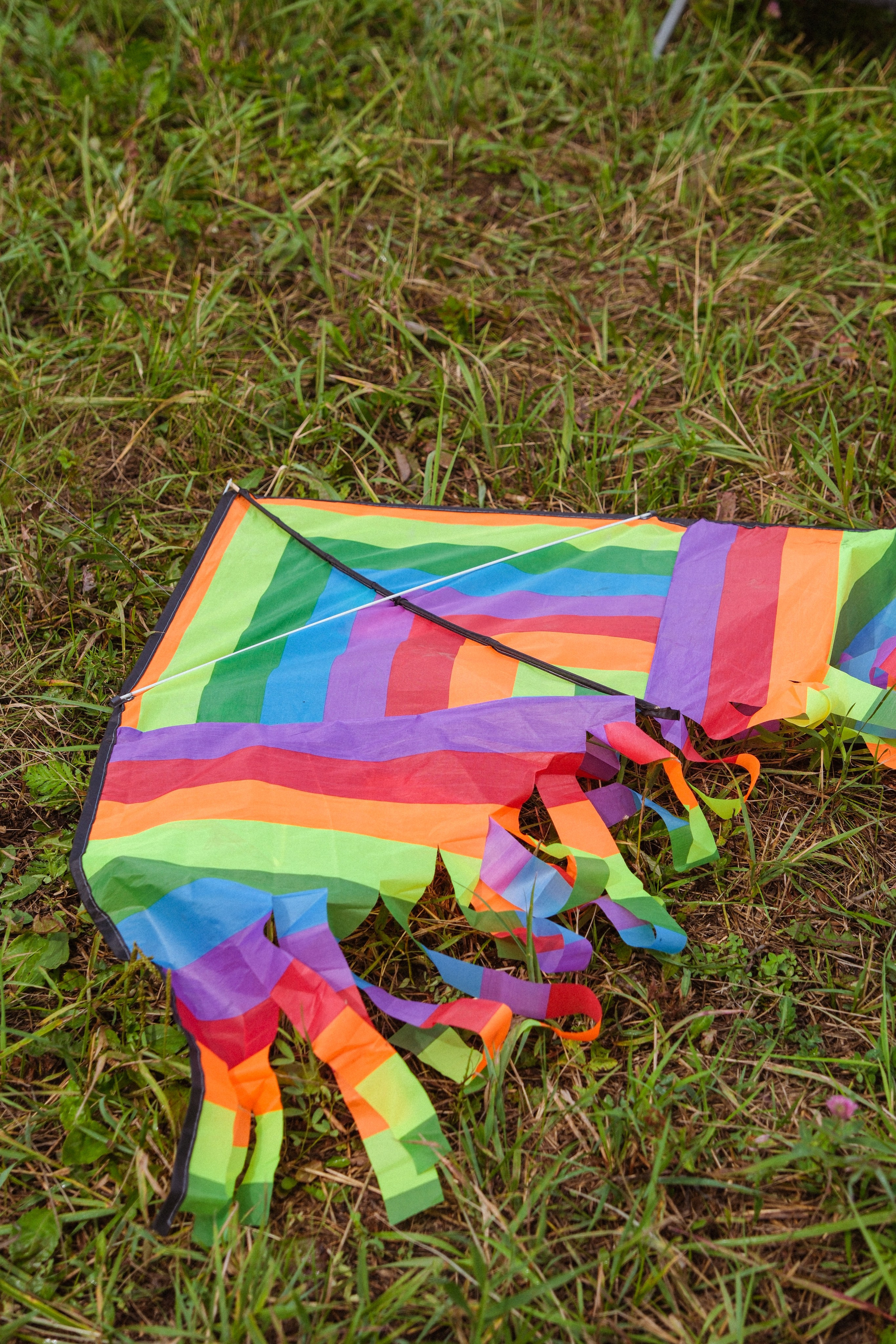 Артем и Карина. Фотограф Саранск Ирина Шишкина, все виды съемок