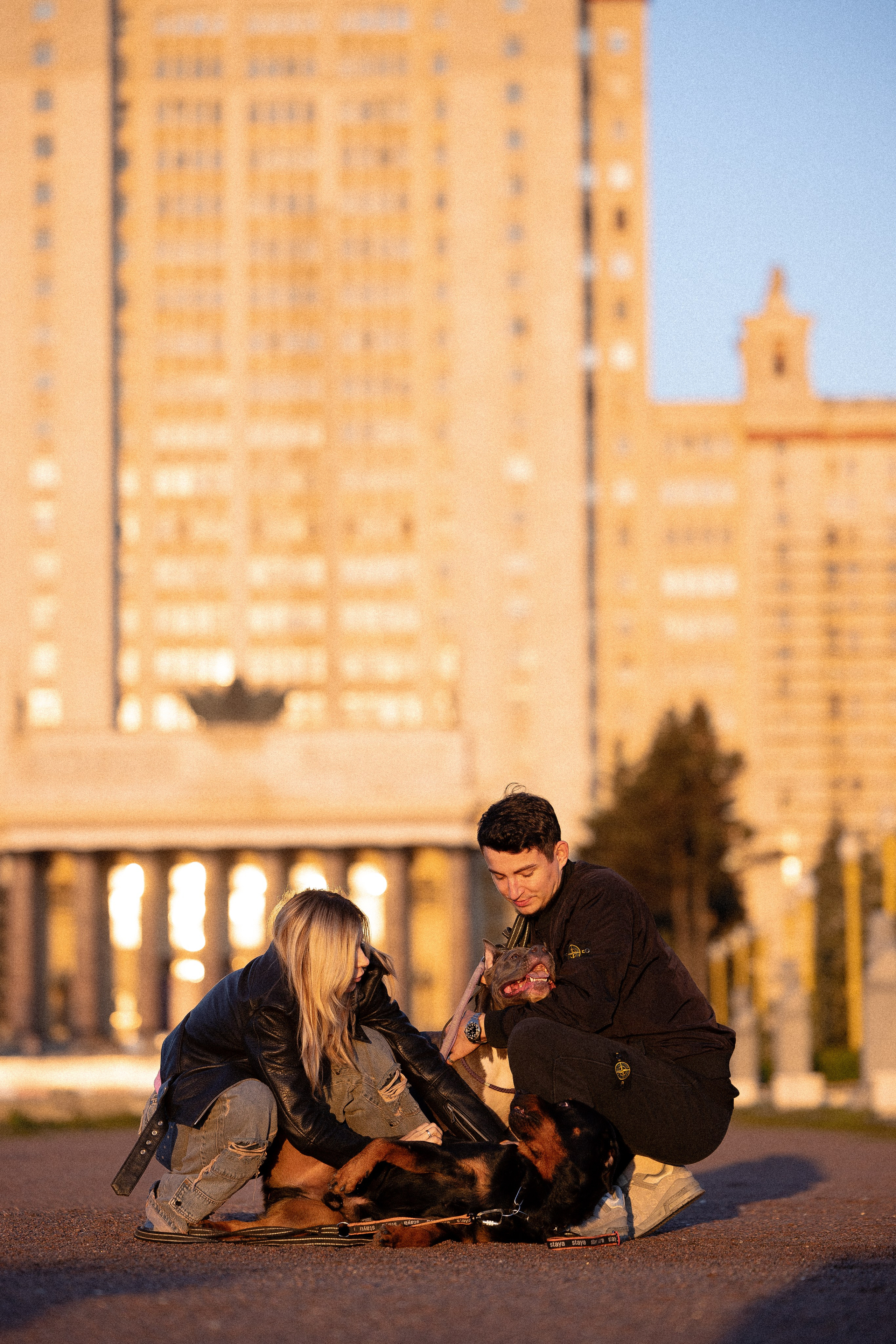 Катя, Леша, Лея и Трой. Фотограф и видеограф анималист Аганина Дарья
