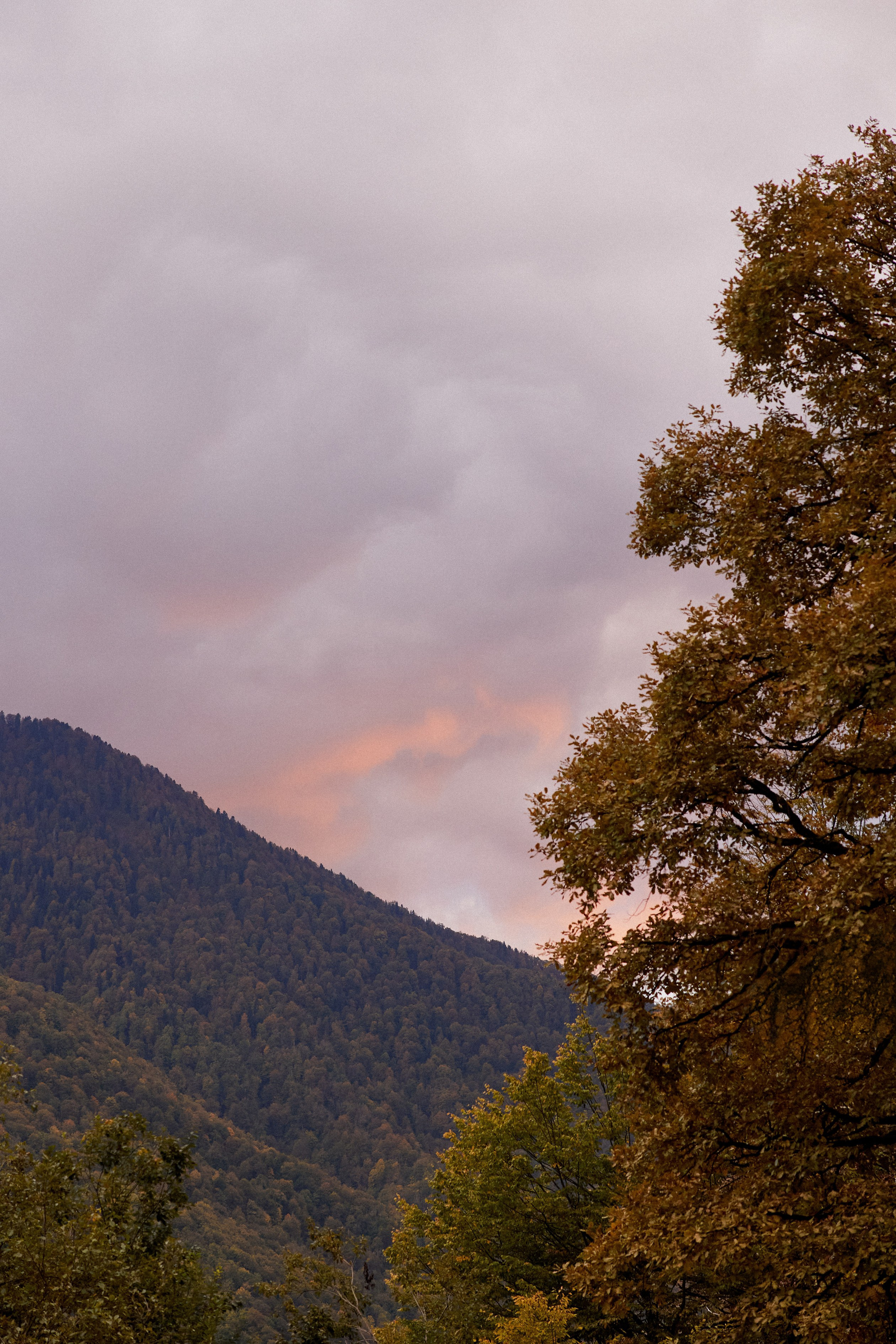 Роман и Эмилия. Фотограф Айвазова Наталья Краснодар