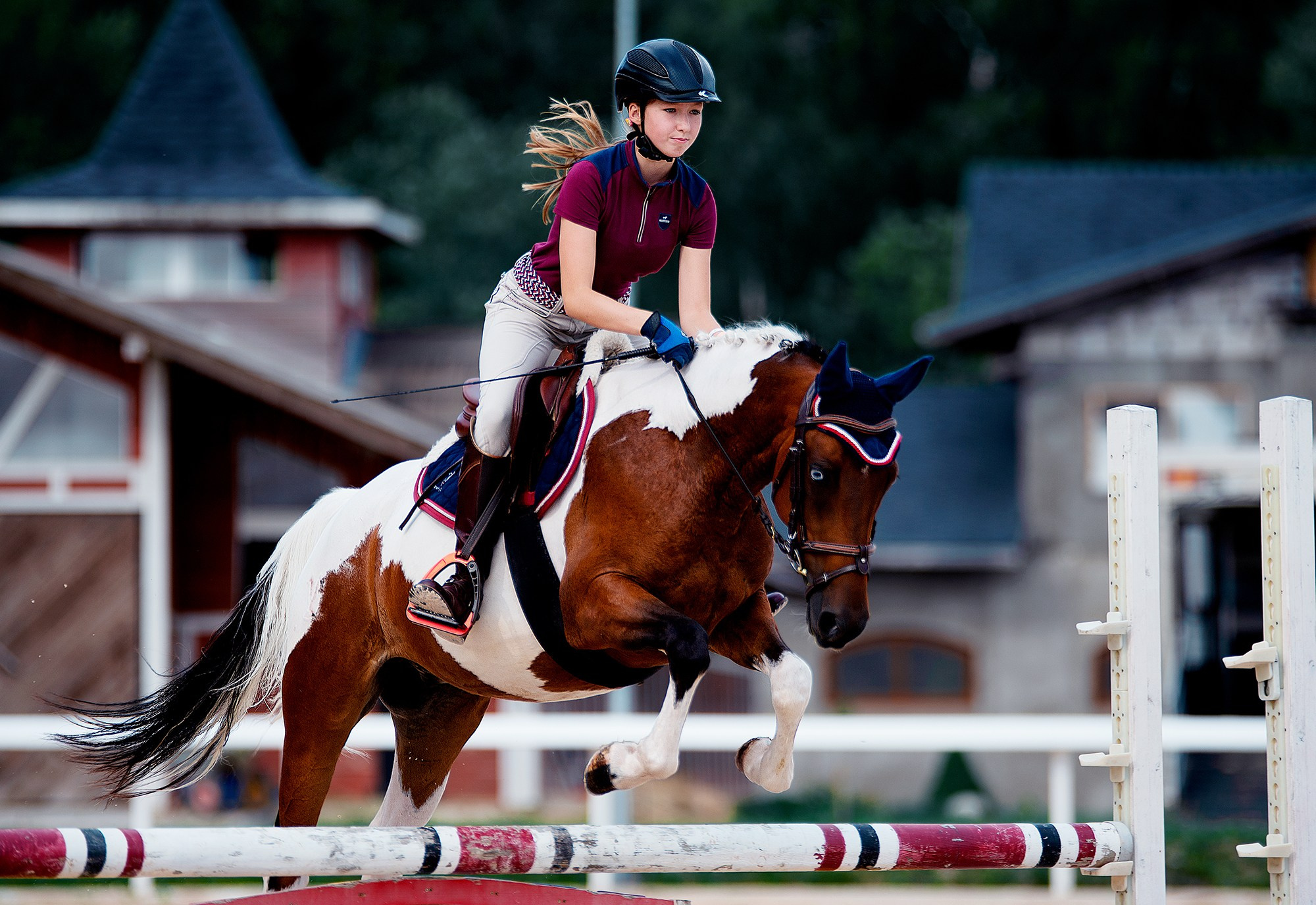 Тренировки. Конный фотограф Alesya Safe
