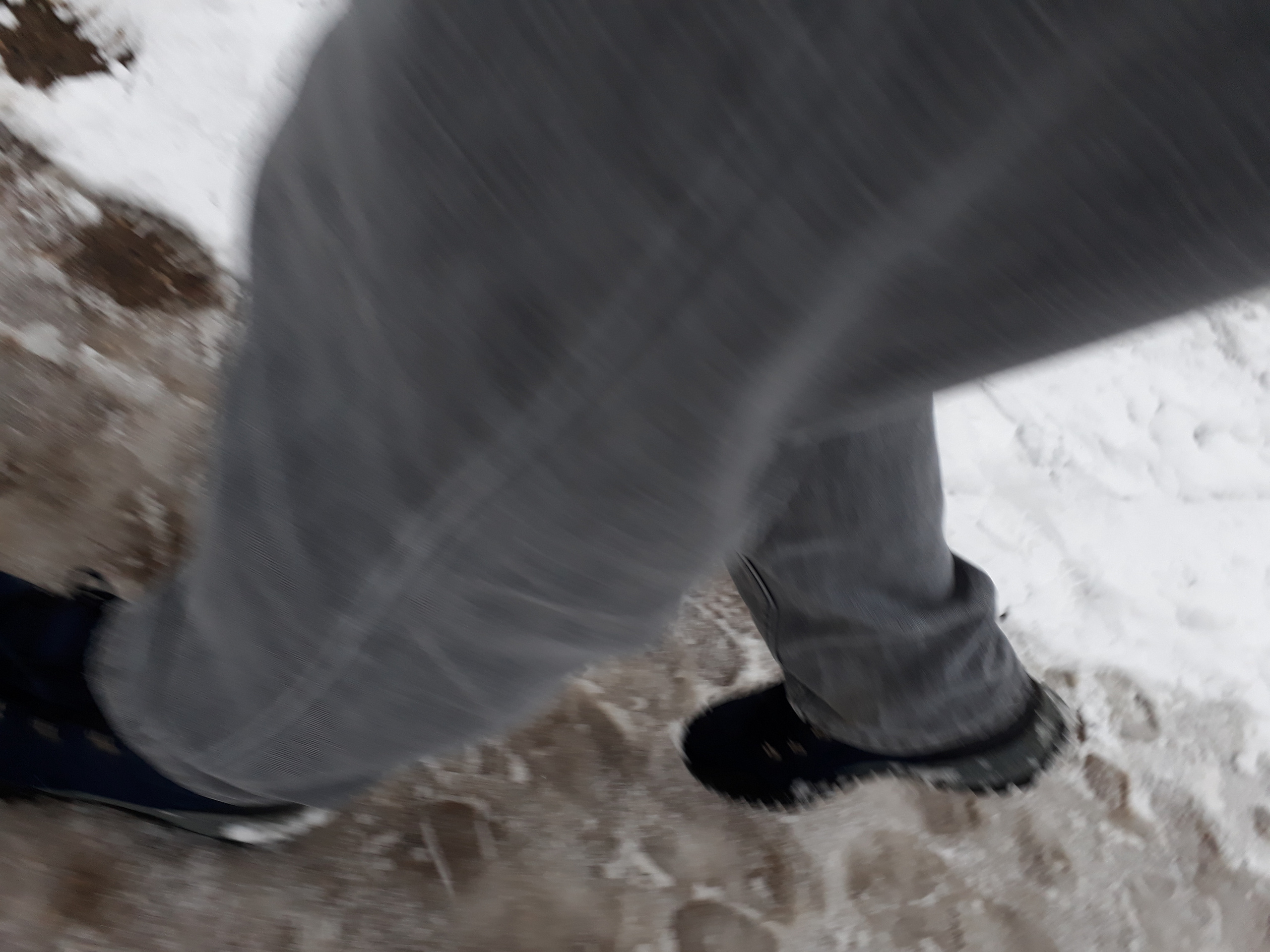 Pictures I didn’t take. Künstler Verstecktoff