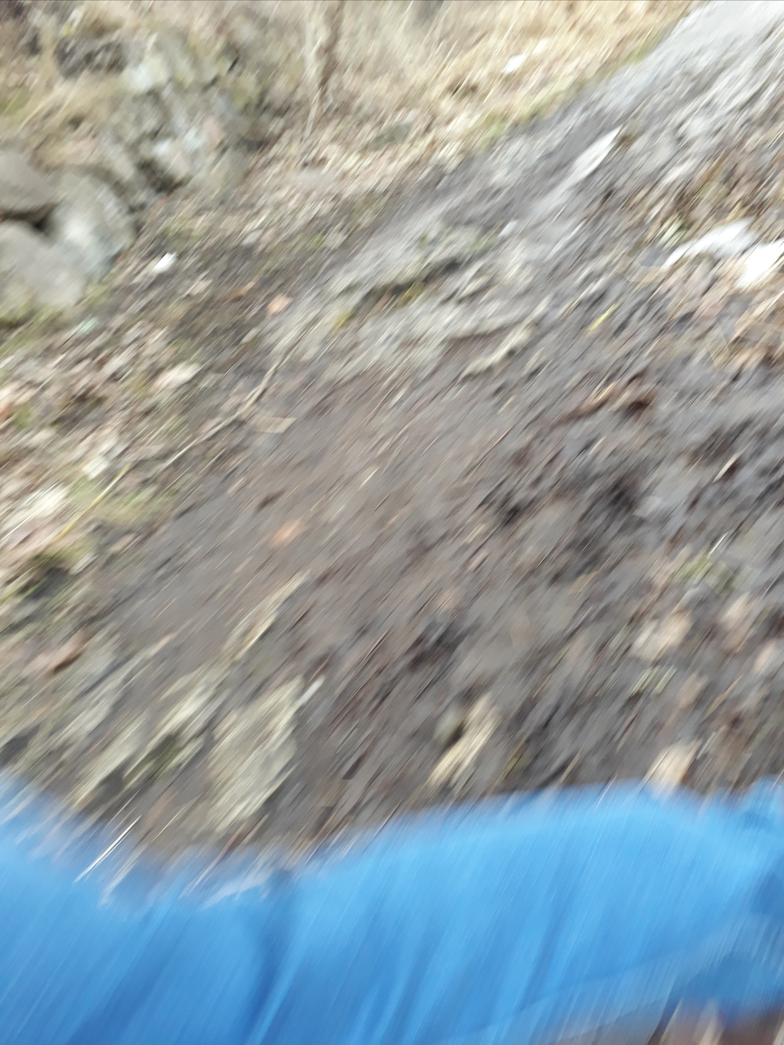 Pictures I didn’t take. Künstler Verstecktoff