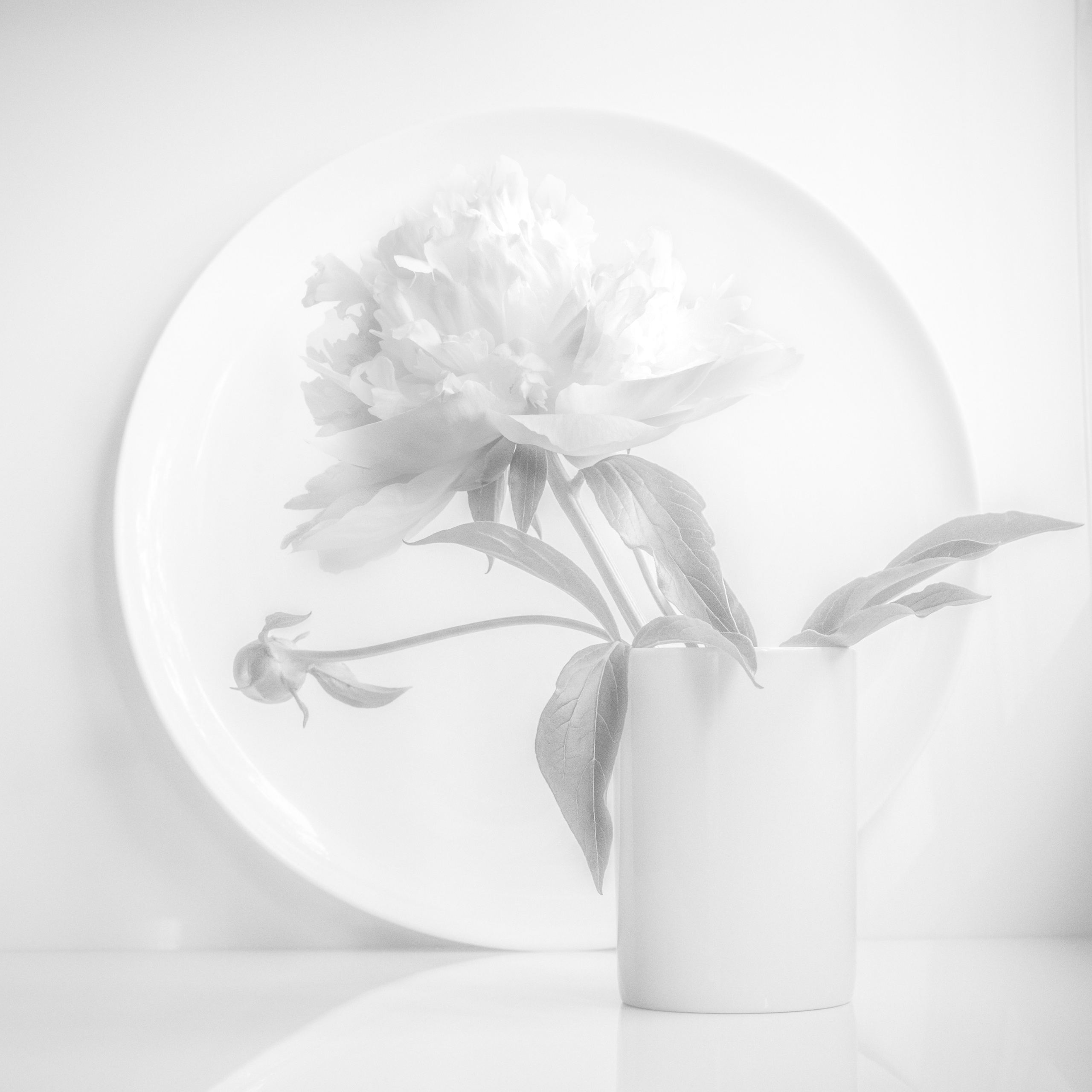 МИНИМАЛИЗМ. Фотограф в Москве Татьяна Макотра