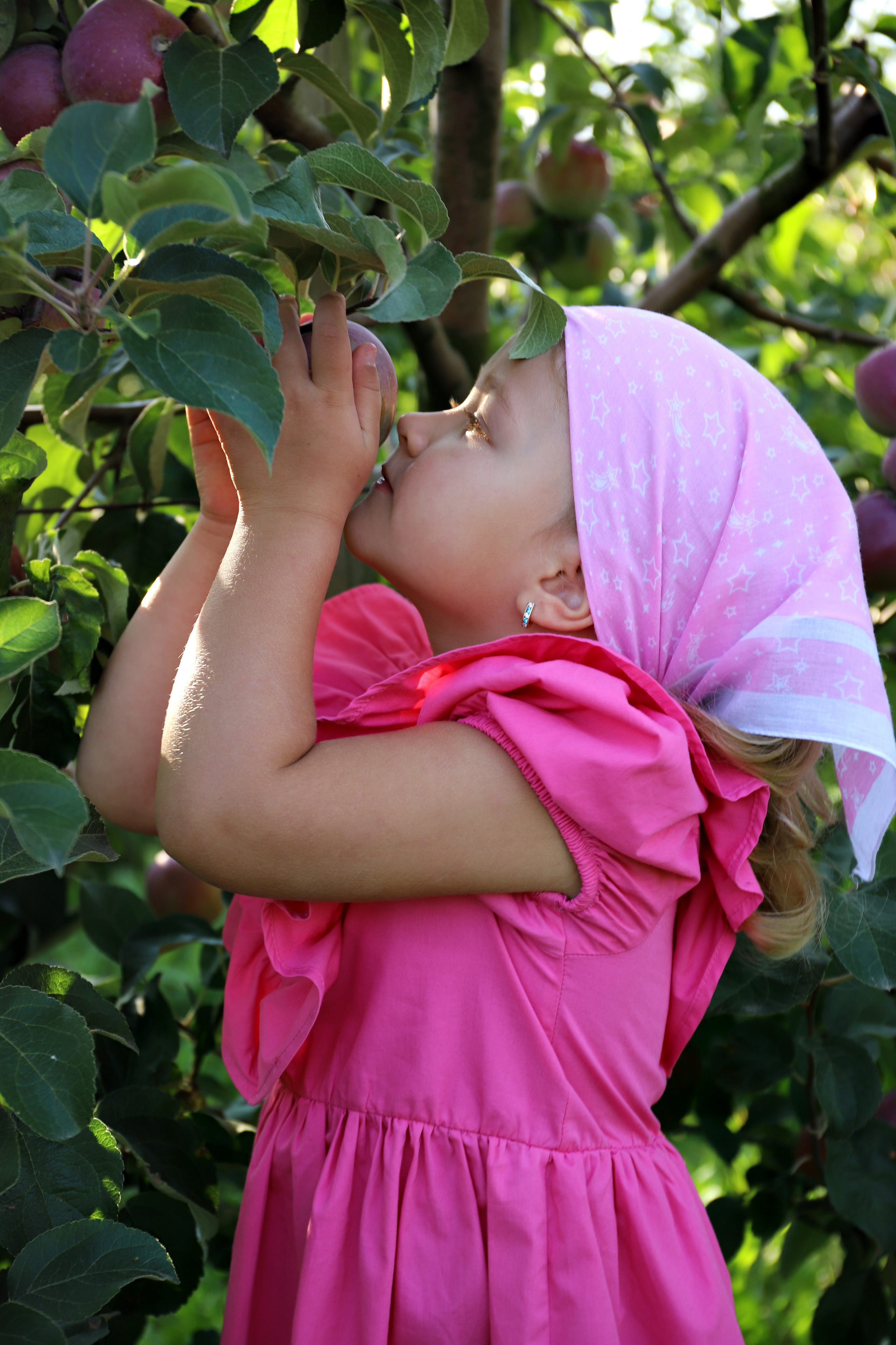 Семейные и детские фото. Детский и школьный фотограф Наталья Анищик
