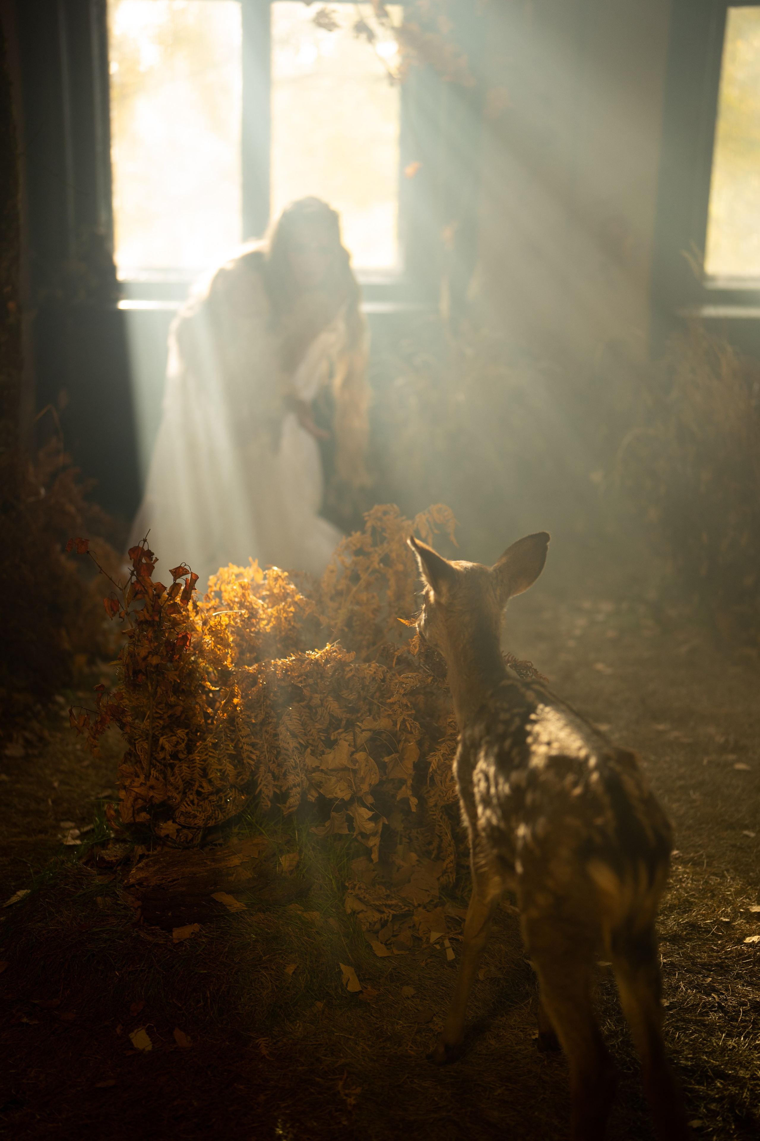 Нимфа в гламурном лесу. Ваш фотограф Tetiana Kolos, найду самый удачный ракурс и словлю момент