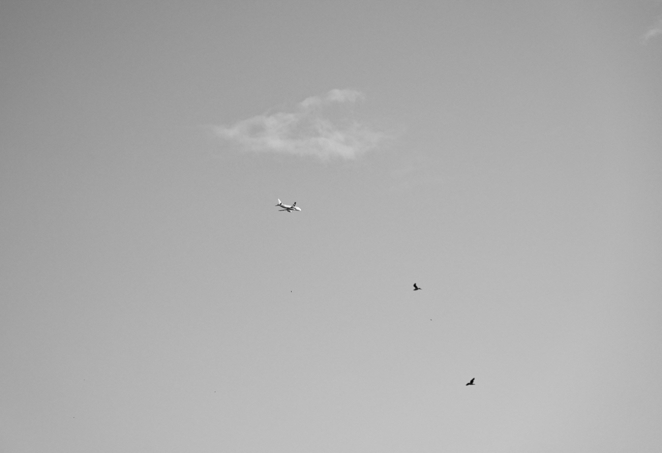 Портфолио. Фотограф в Санкт-Петербурге Мякинина Надежда