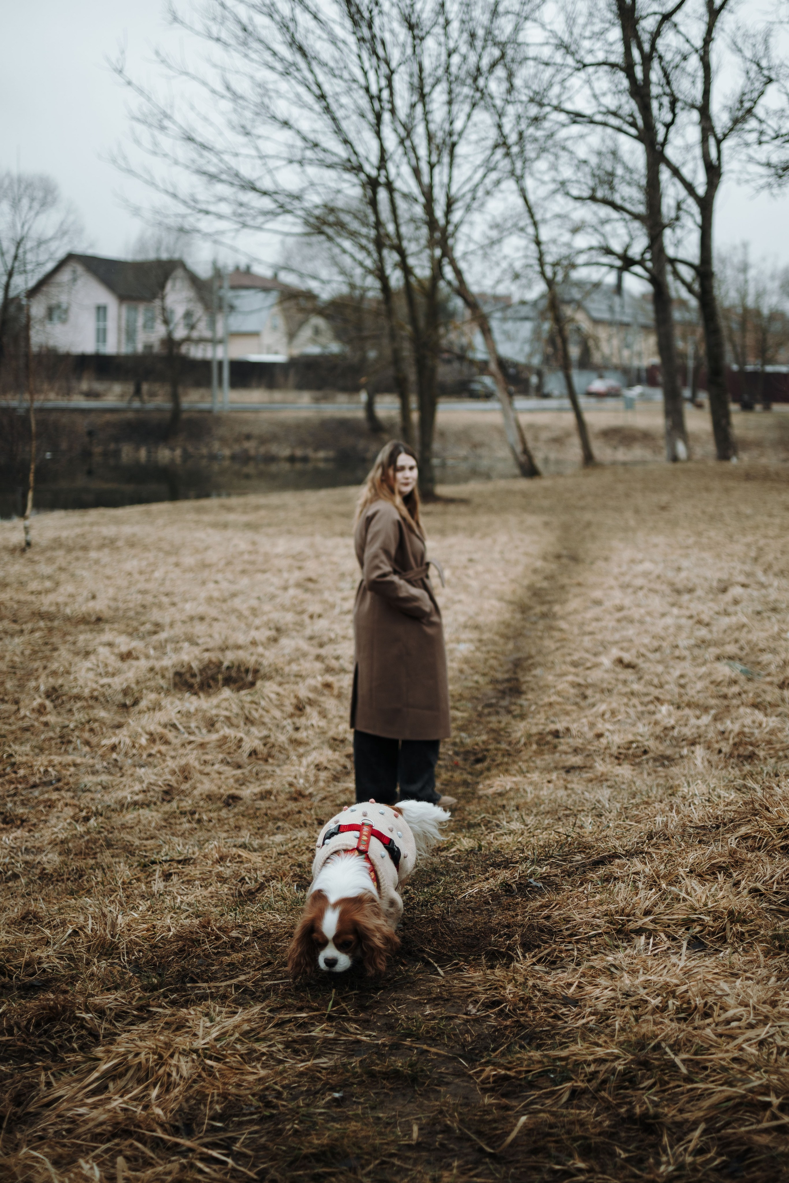 Любовь и Альтаир