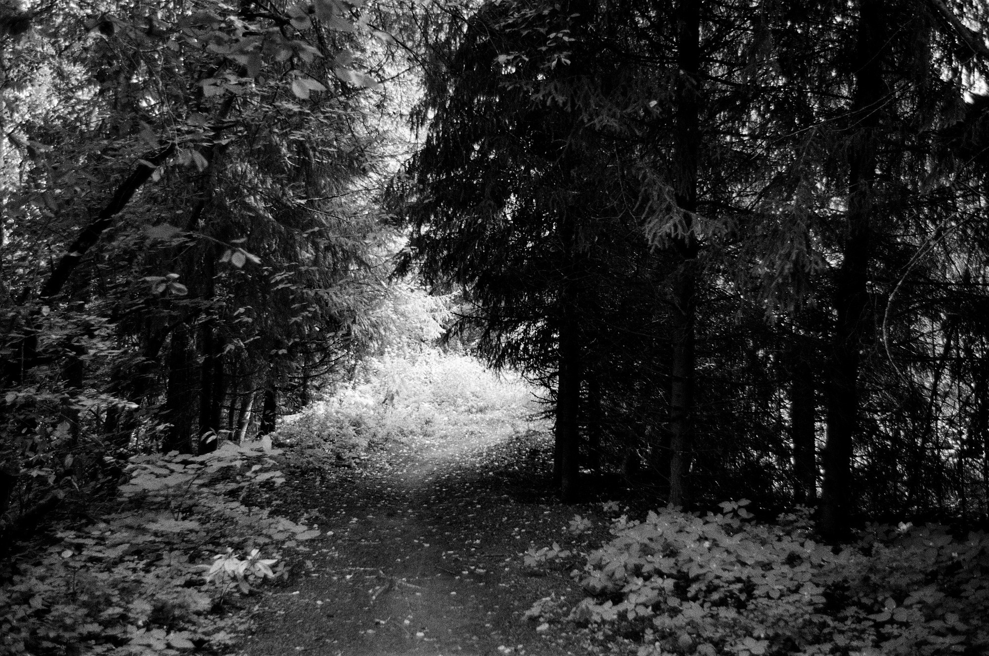 Киржач. Владимирская область. Другой Павел Поцелуев. Фотограф в 2025 году