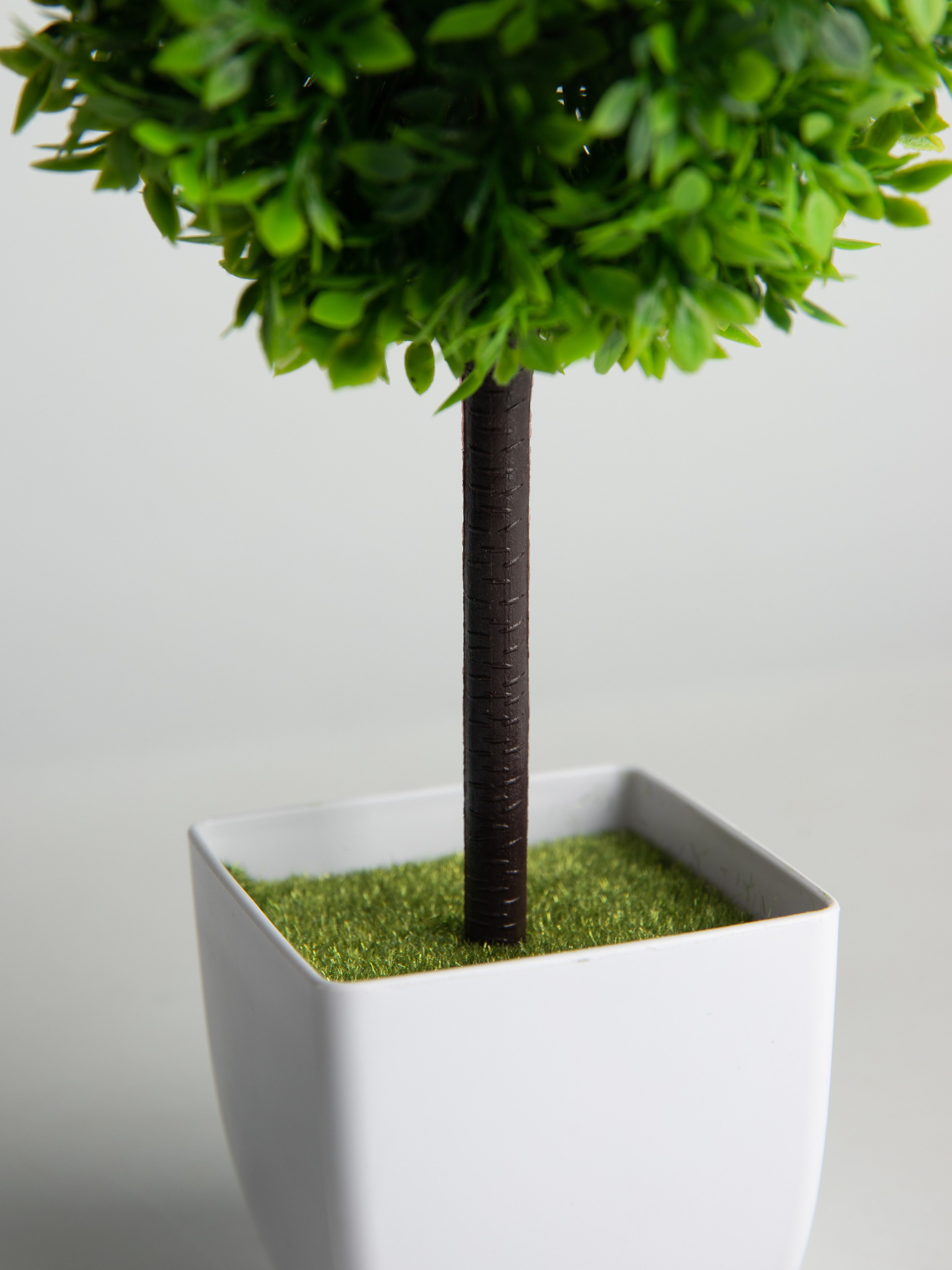 Декоративные деревья. Коммерческий фотограф в Санкт-Петербурге (СПб) Екатерина Панчёха, Панчёшка