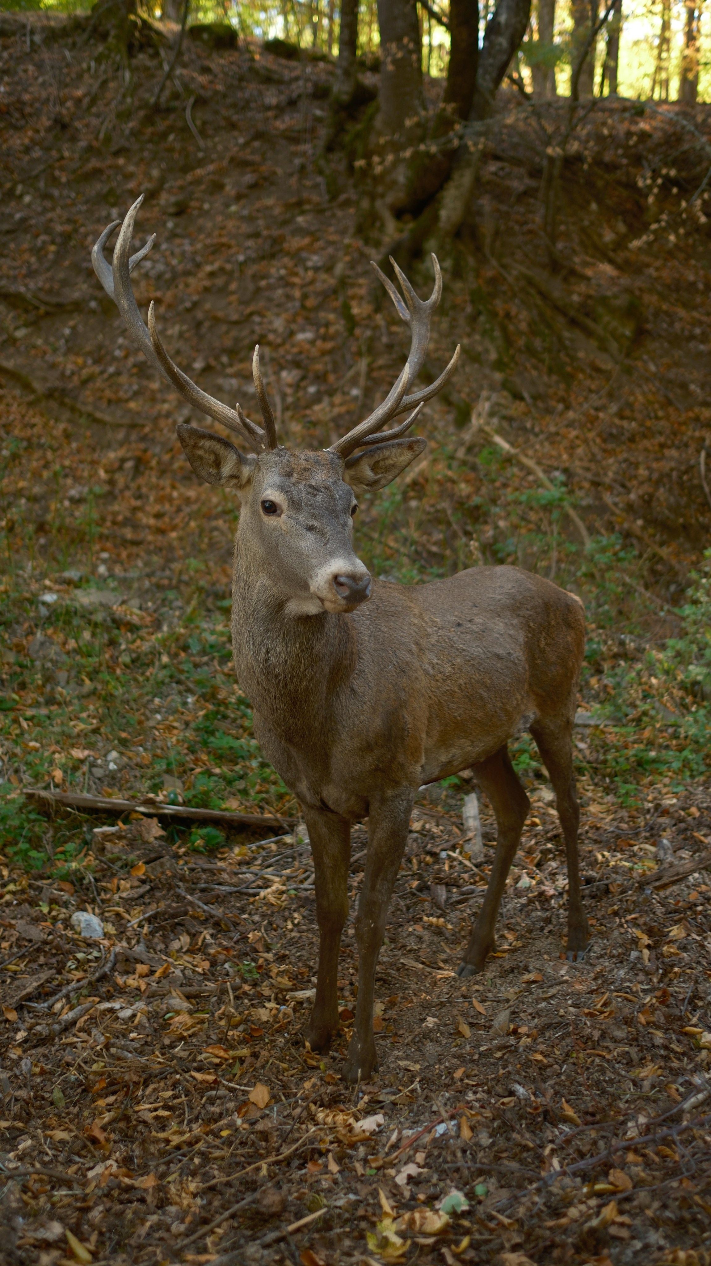 Хочу в Национальный Парк «Крымский». Гид и фотограф в Крыму Сергей Соколов