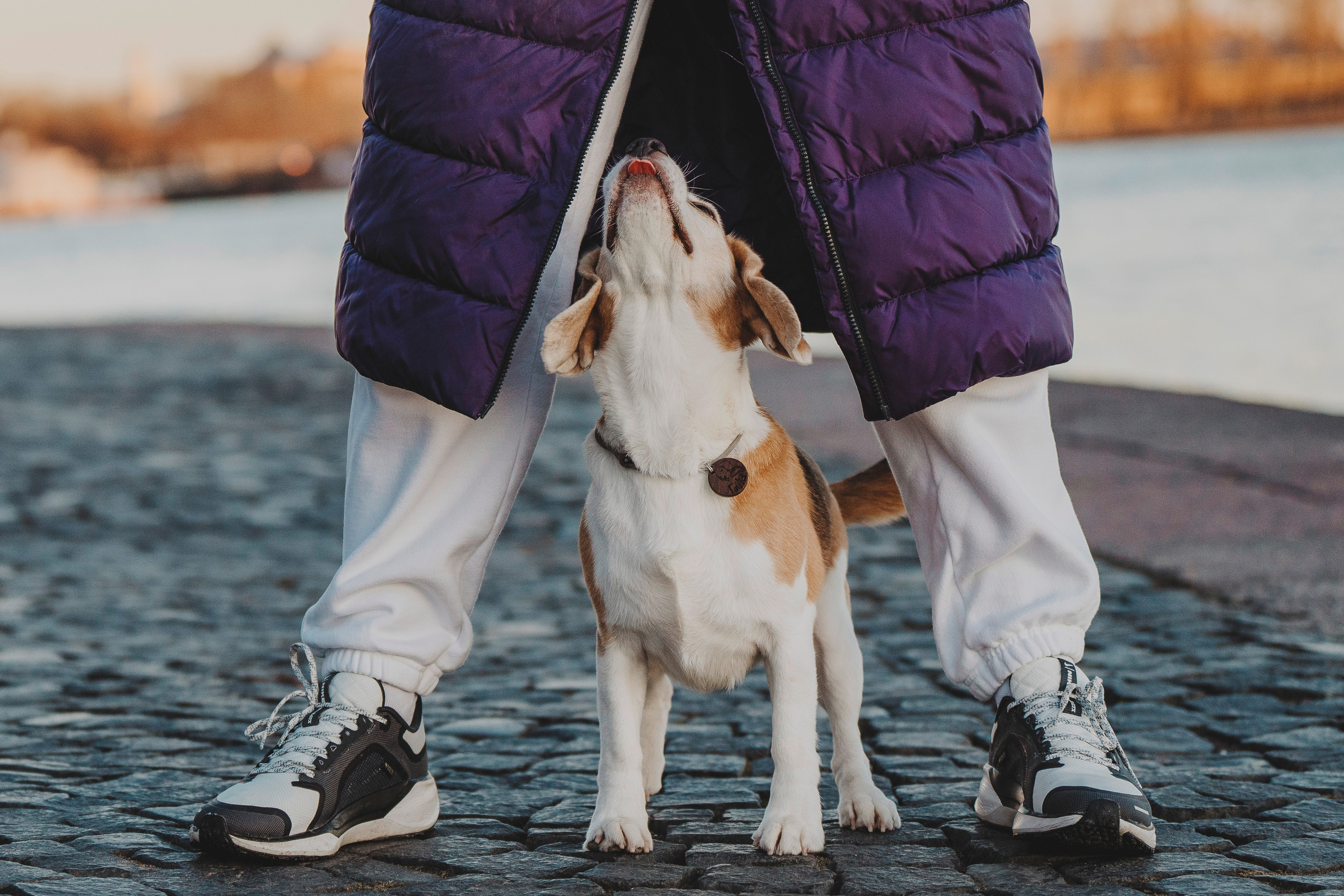 Ксения и Гаечка. Фотограф анималист в Спб недорого Олеся Майорова