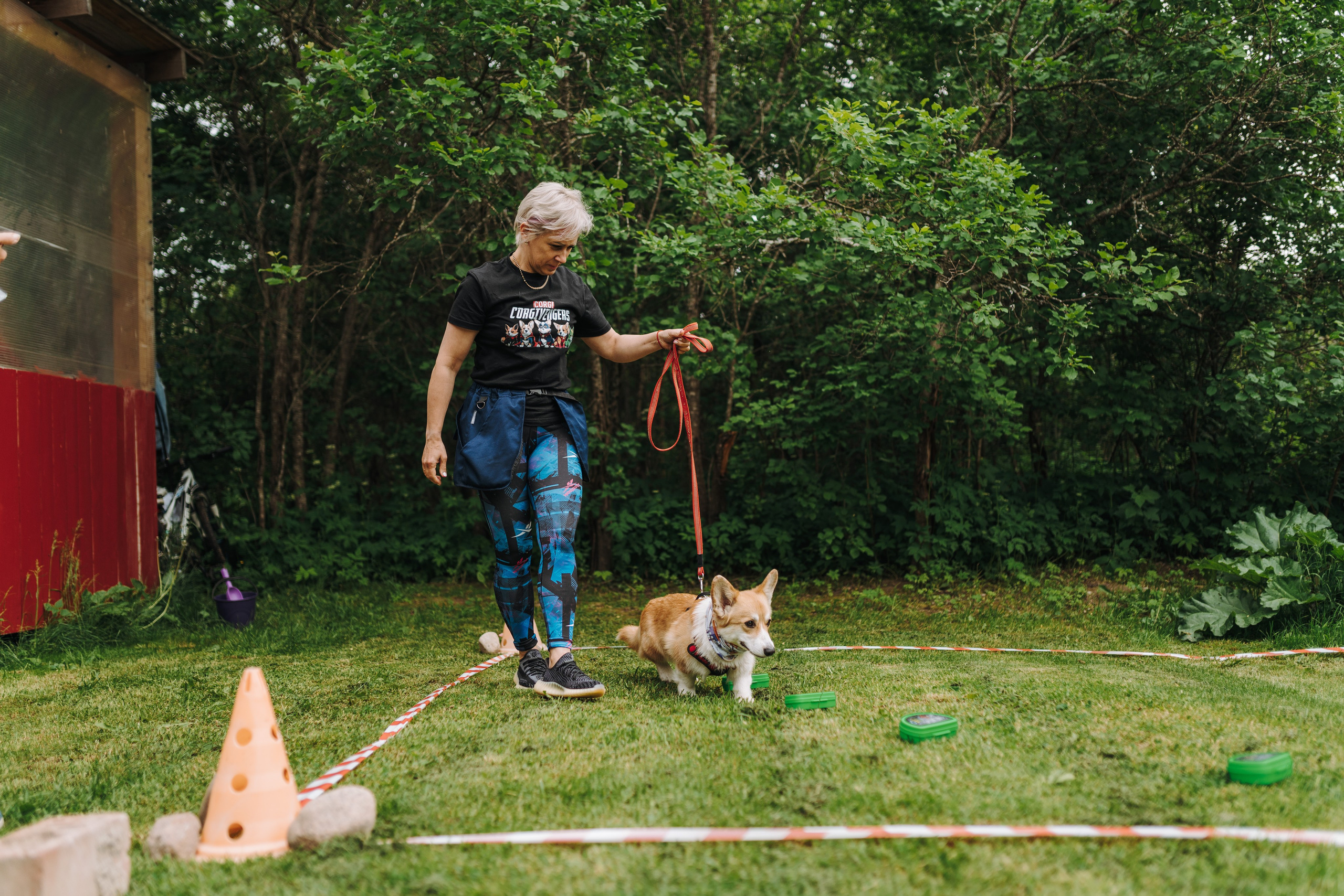 Соревнования по ноузворку. Фотограф анималист в Спб недорого Олеся Майорова