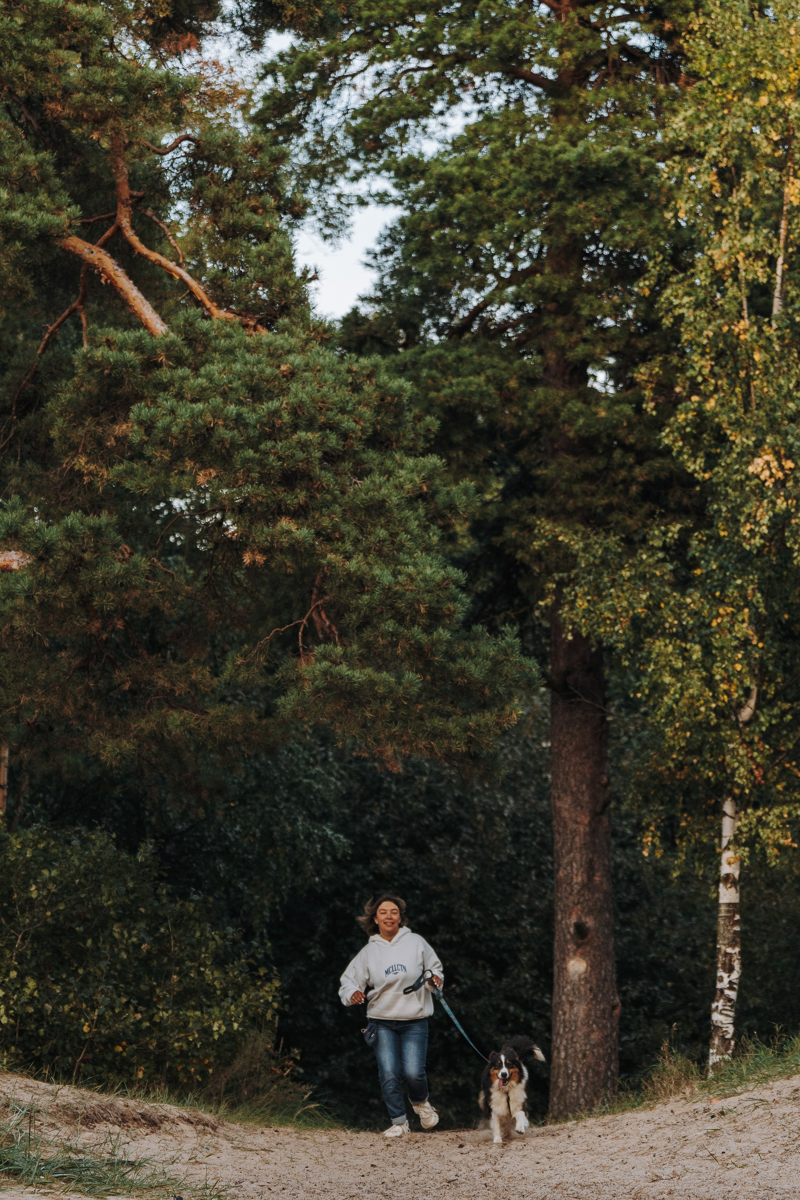 Фотограф анималист в Спб. Фотограф анималист в Спб недорого Олеся Майорова