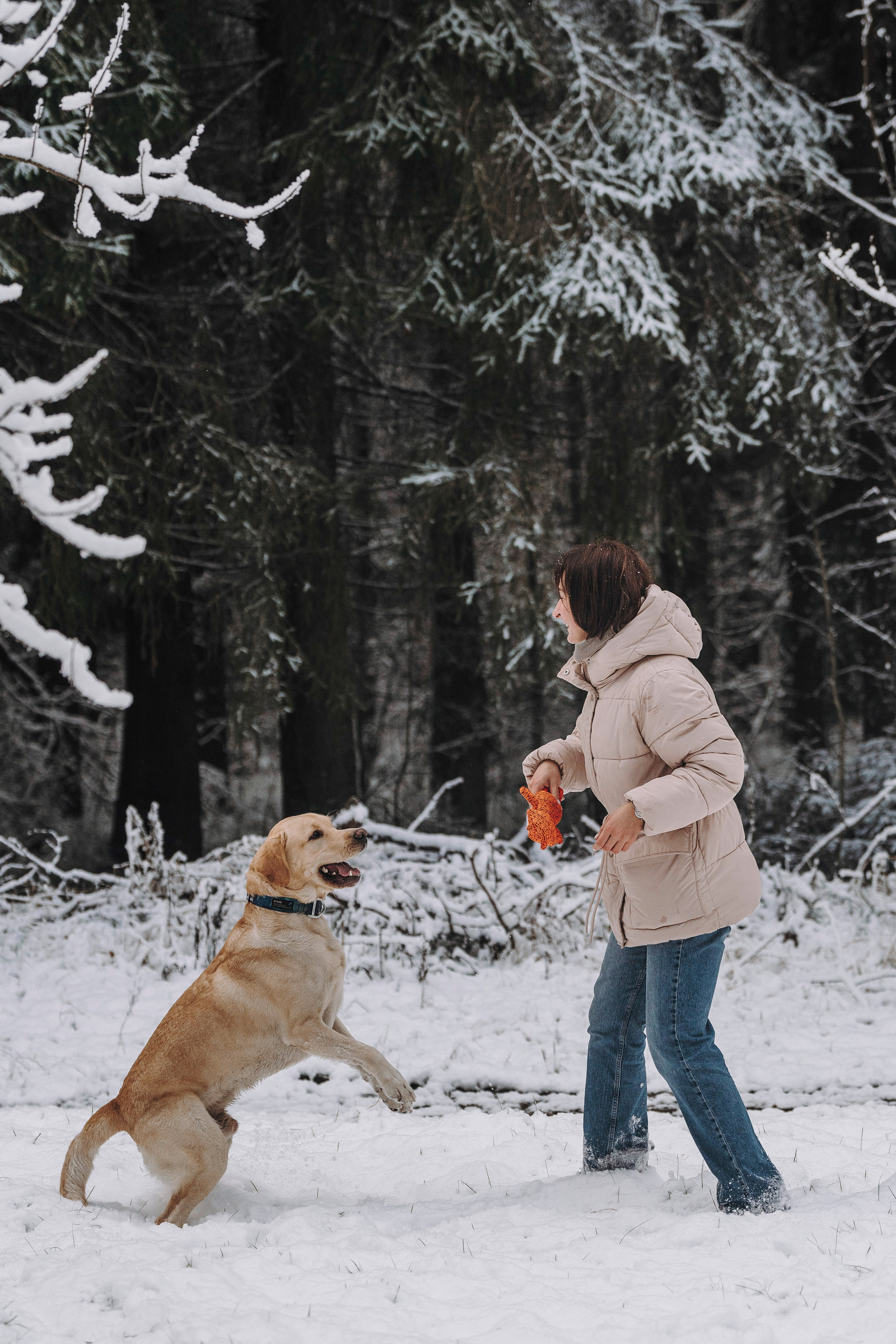 Аня и Честер. Фотограф анималист в Спб недорого Олеся Майорова