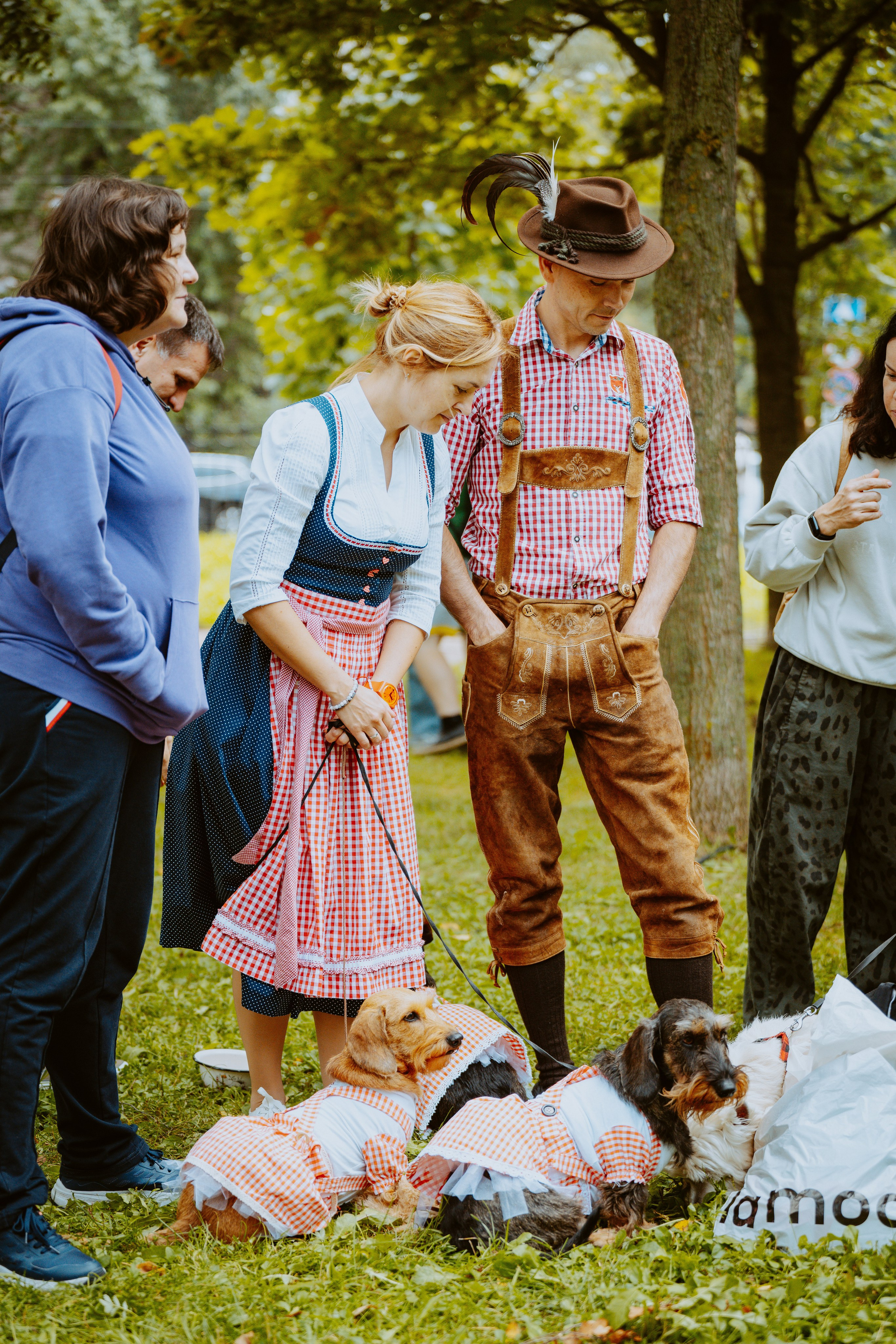 Такспарад. Фотограф анималист в Спб недорого Олеся Майорова