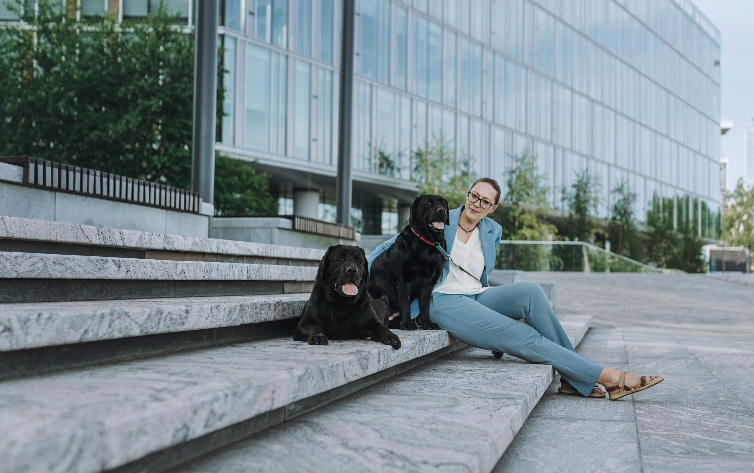 Лабрадоры питомника IRISLAV. Фотограф анималист в Спб недорого Олеся Майорова