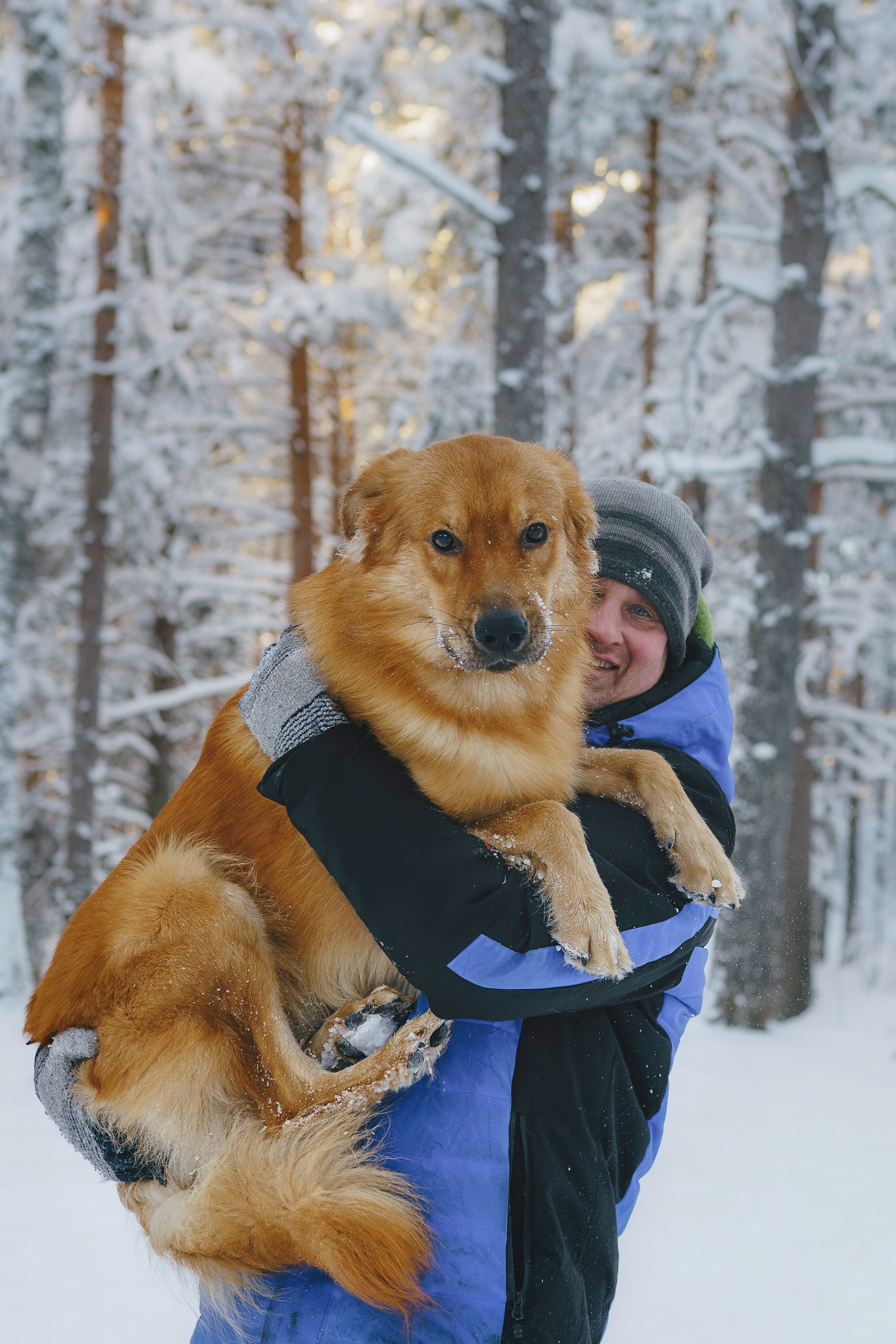 Рэй, Кузя, Ольга и Александр. Фотограф анималист в Спб недорого Олеся Майорова