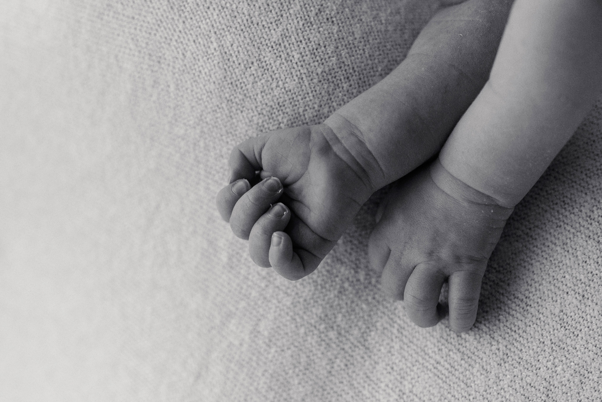 Новорожденные. Фотограф Шарыпово