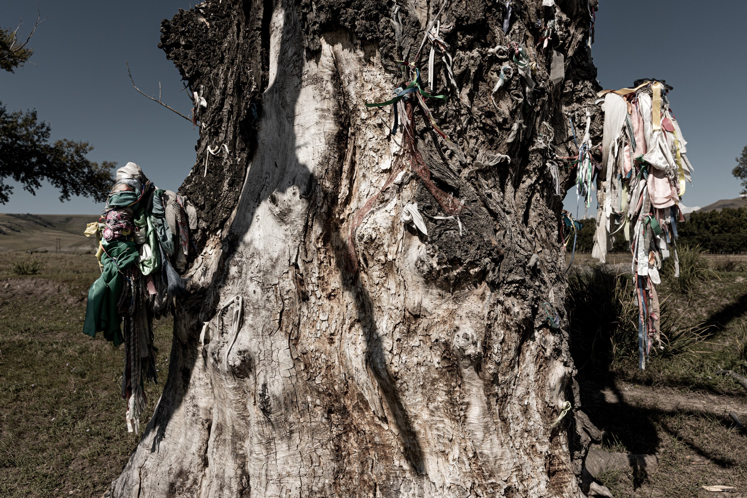 Земля пяти стихий. Yulia Nevskaya, documentary photographer and photojournalist