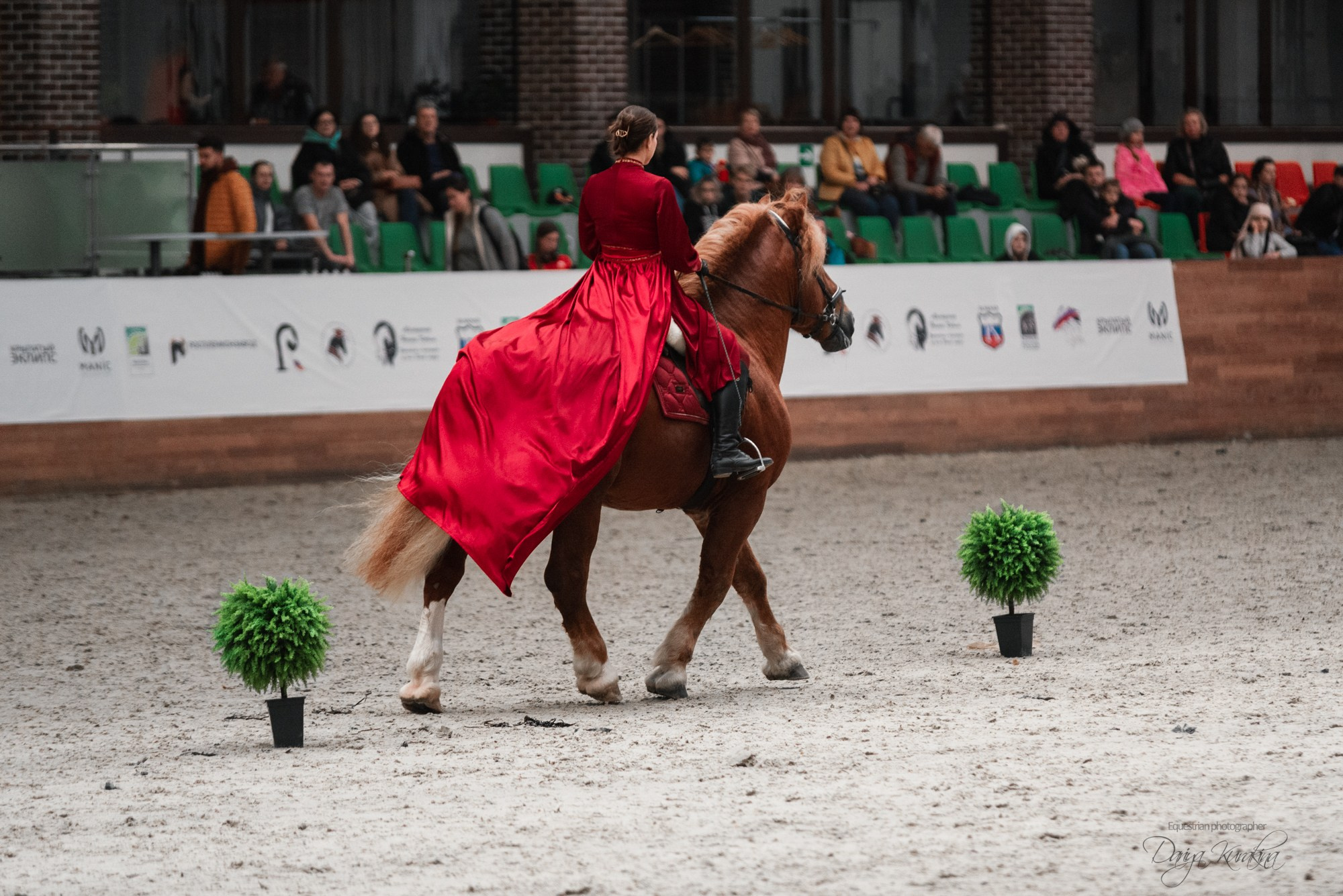 8-я международная выставка Конная Россия. Конный фотограф Куракина Дарья • Фотосессии с лошадьми