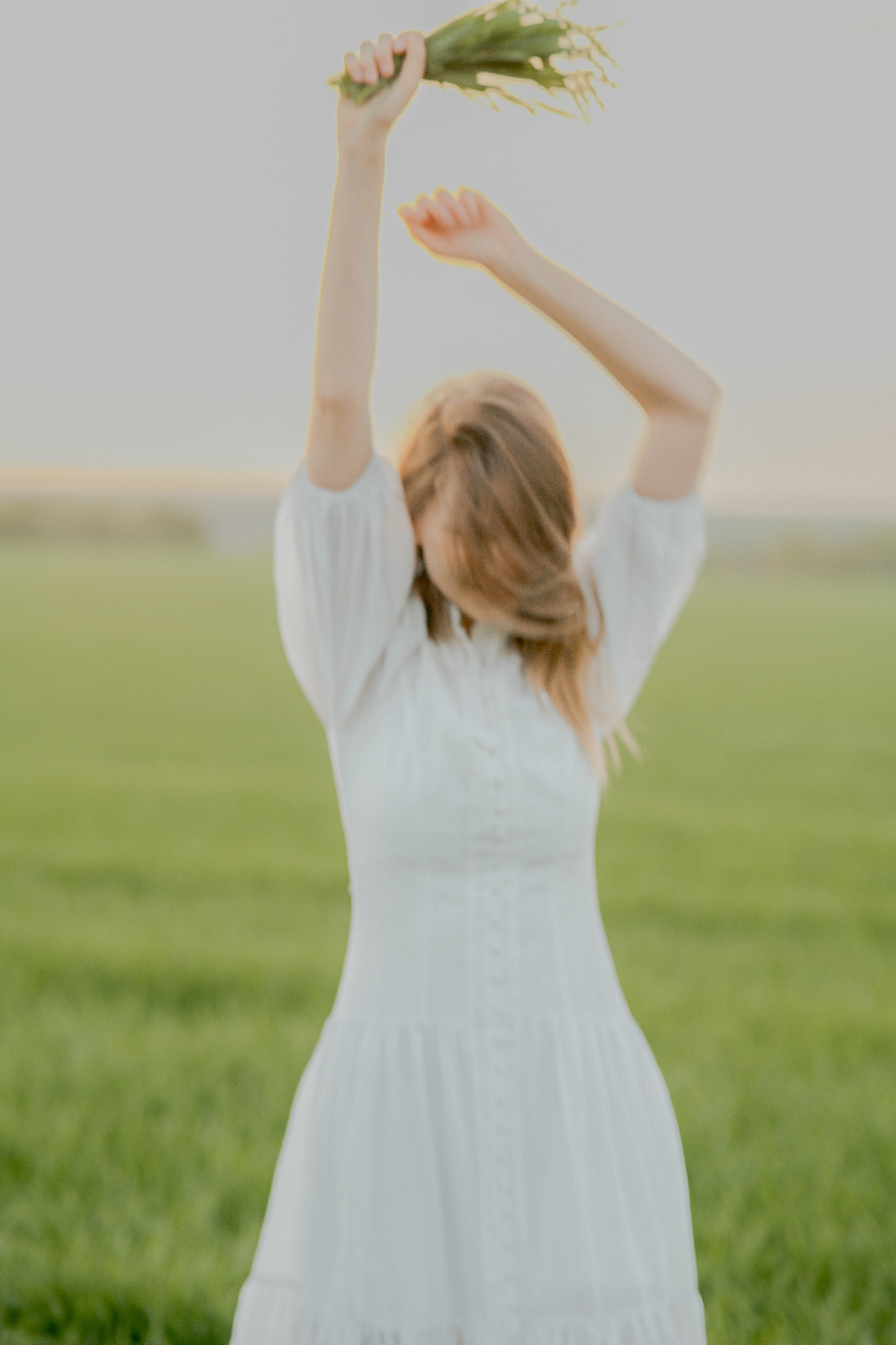 Поле. Фотограф Мария Зайчик