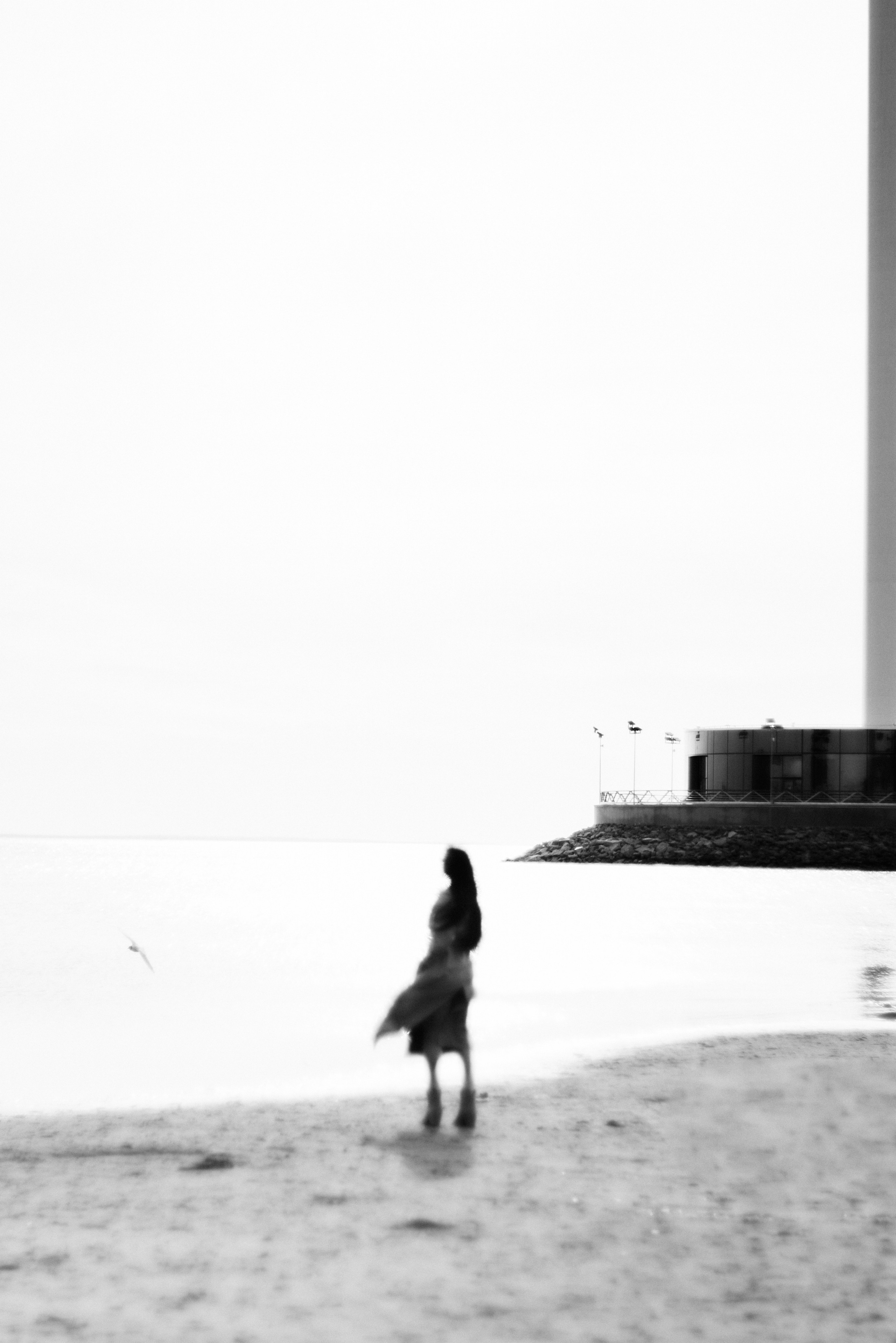 L19. Свадебный фотограф Санкт-Петербург DanyaPhotoart