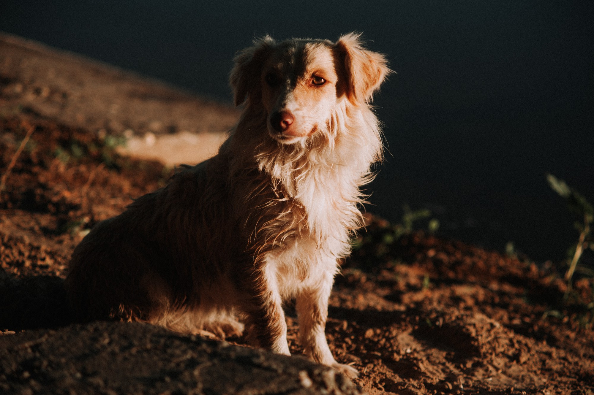 РЕПОРТАЖИ/ФОТО ДЛЯ СМИ. Фотограф