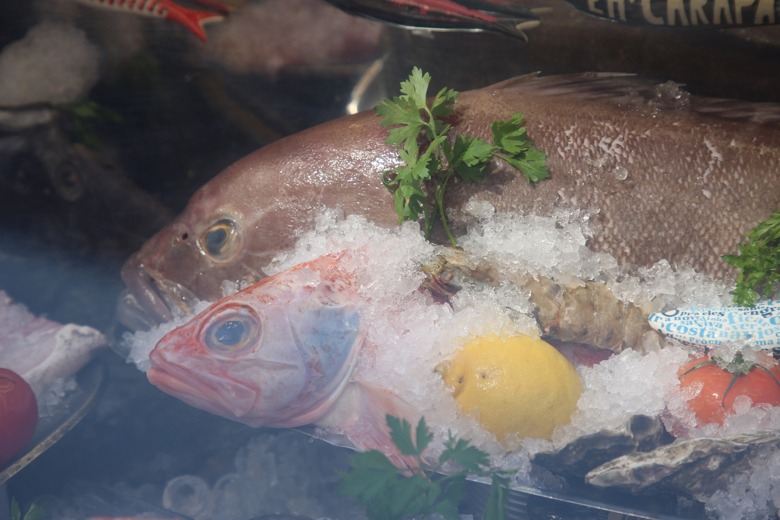 Lisbon, Portugal. Andrey Filippov Photographer