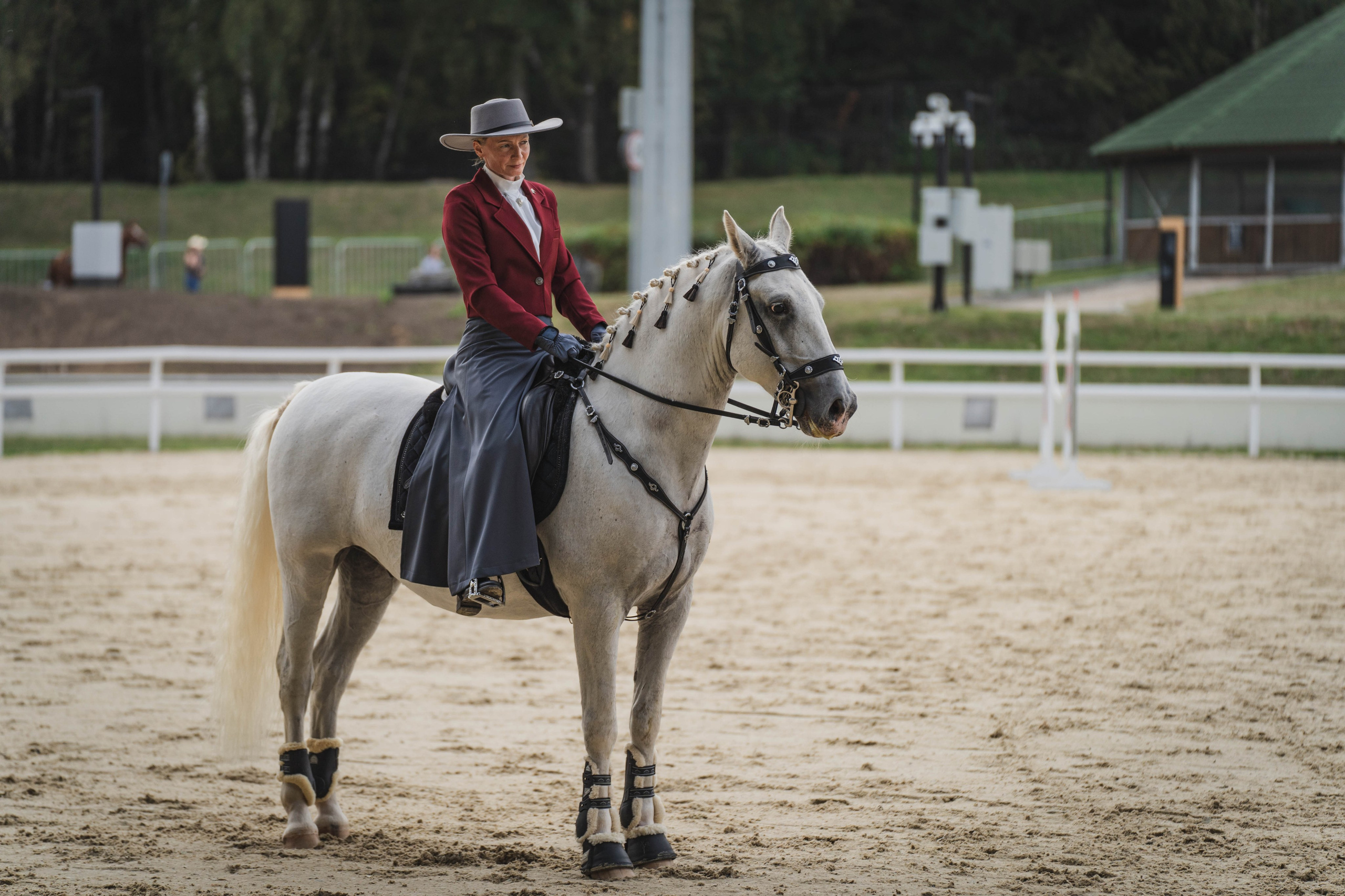 Мастер-класс по рабочей выездке. Фотограф в Москве Ленарская Дарья