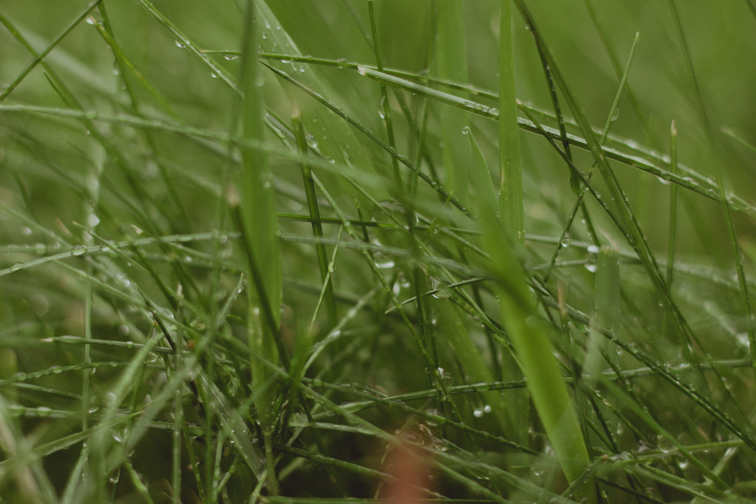 Крещение Людмилы. Мария Колесникова