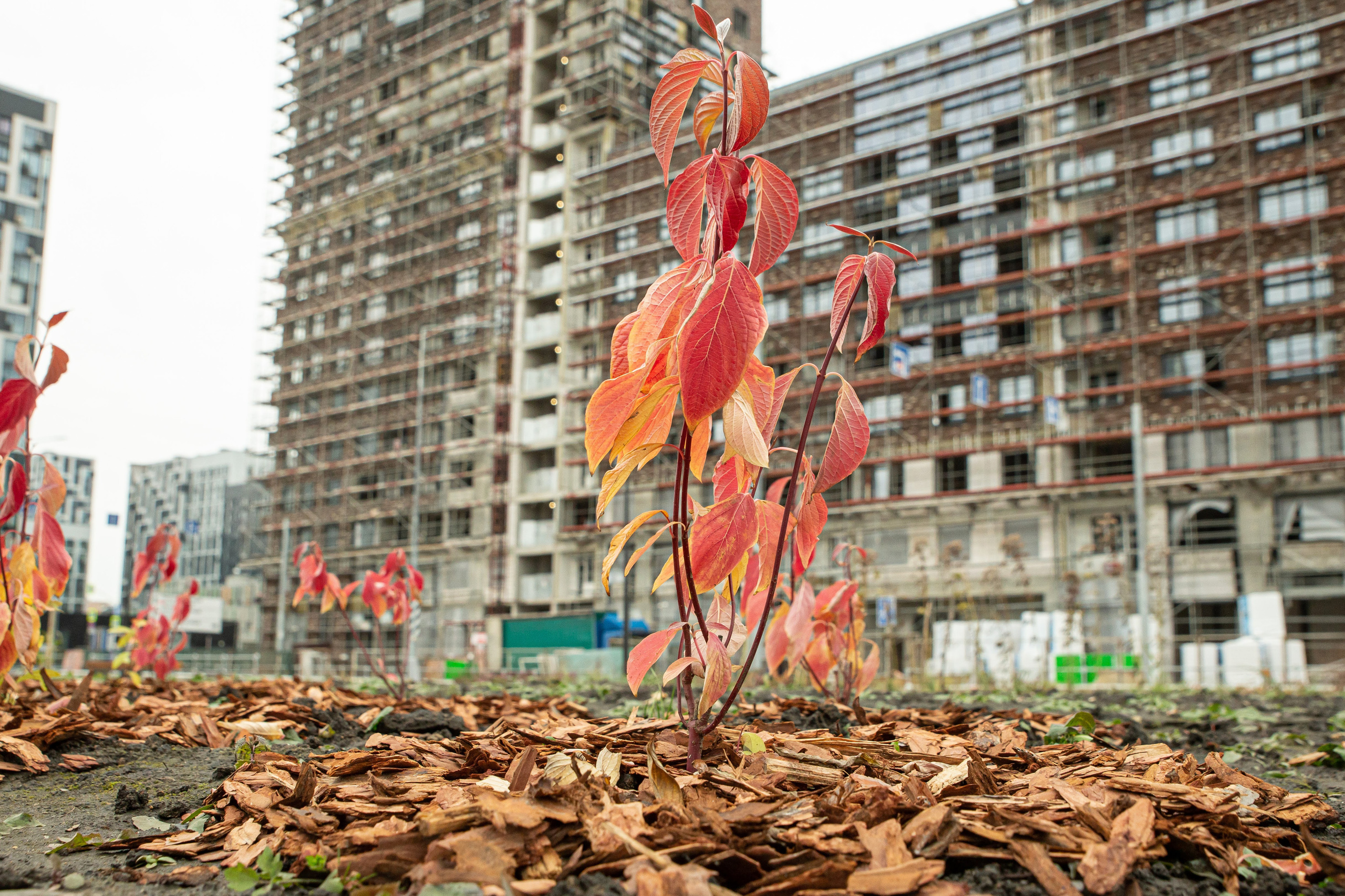 Этапы строительства. Рекламный коммерческий фотограф в Москве Владимир Лукьянов