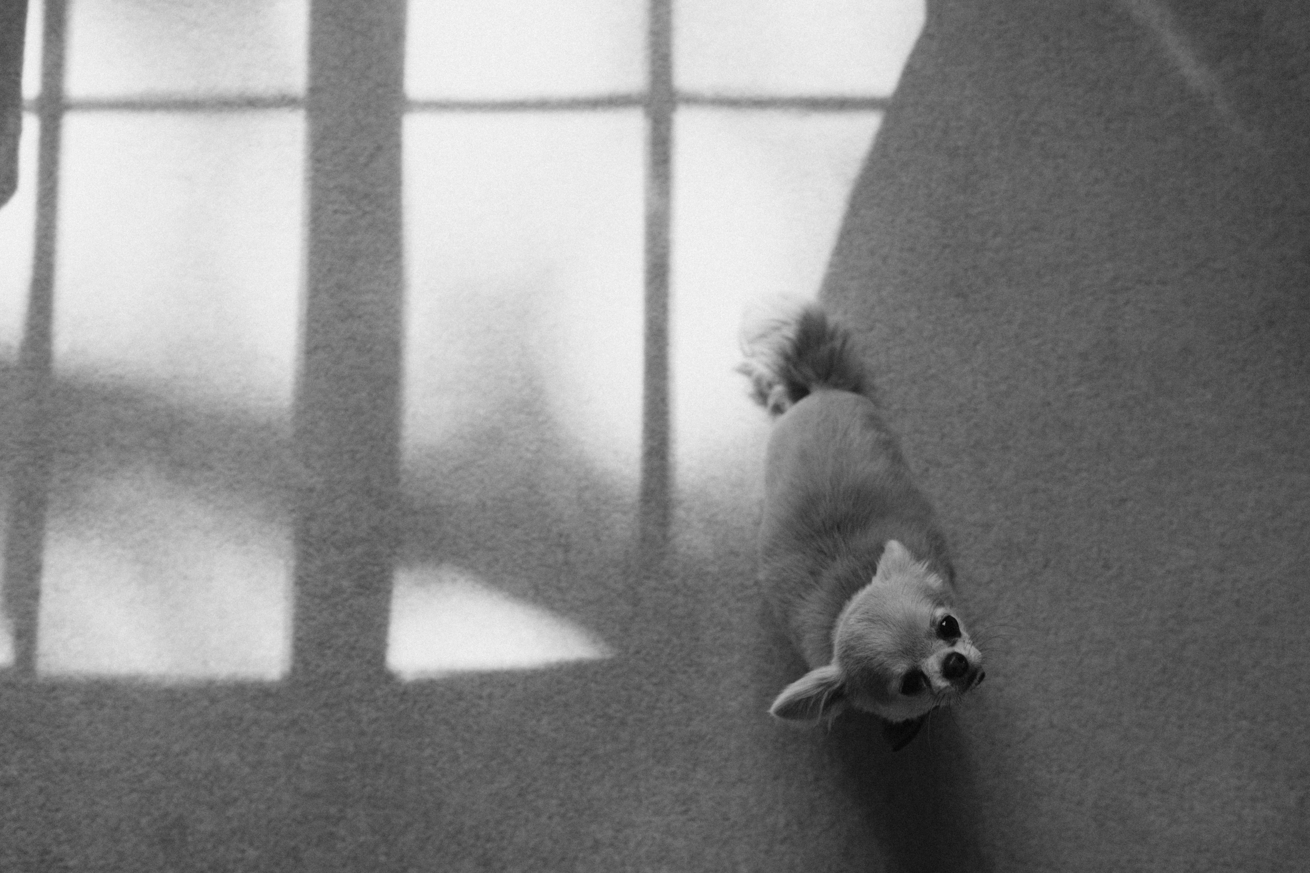 Скандинавия. Фотограф в Санкт-Петербурге Александр Дымов