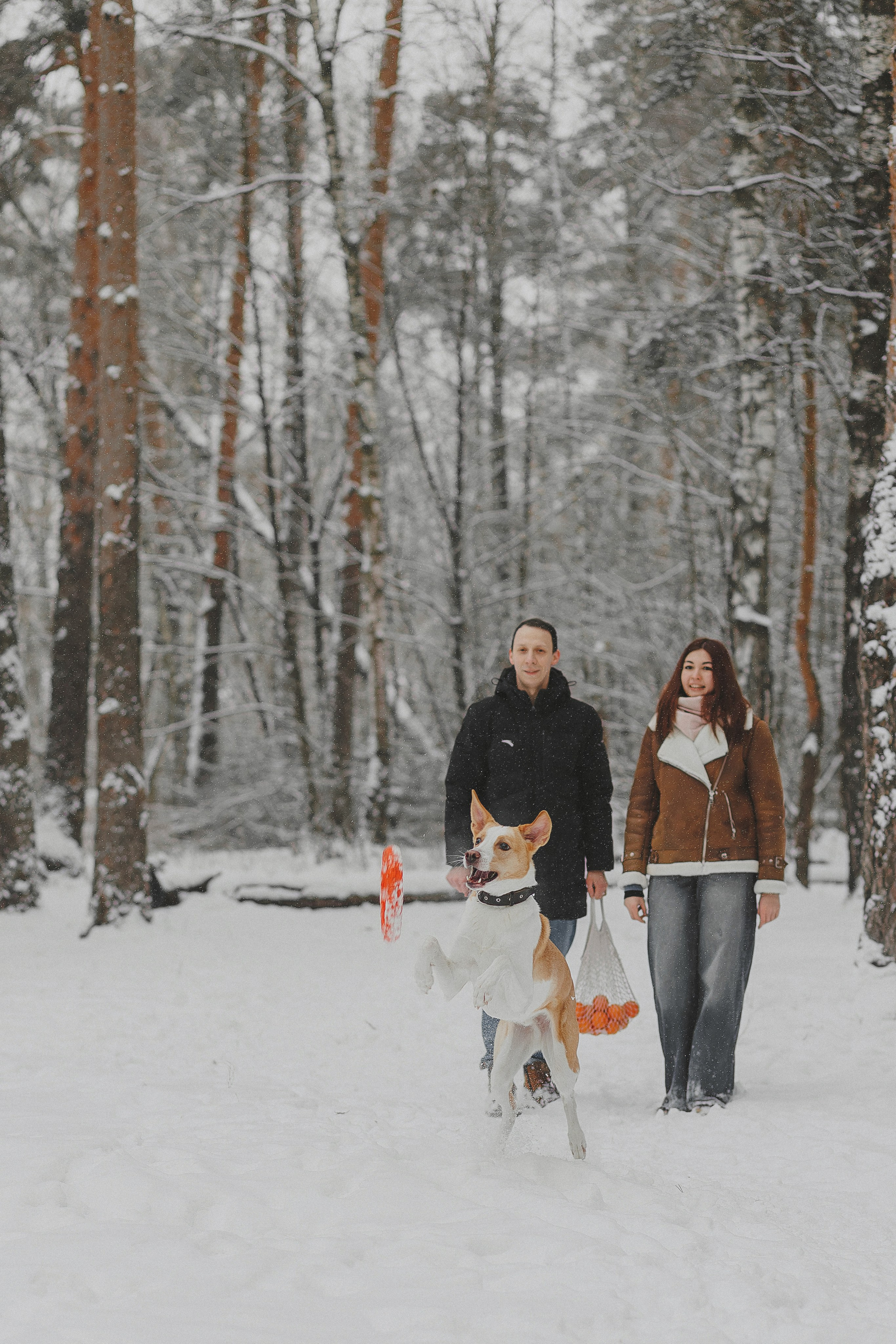 Зимняя фотосессия в лесу с собакой. Фотограф в Москве и Люберцах Анна Ушакова