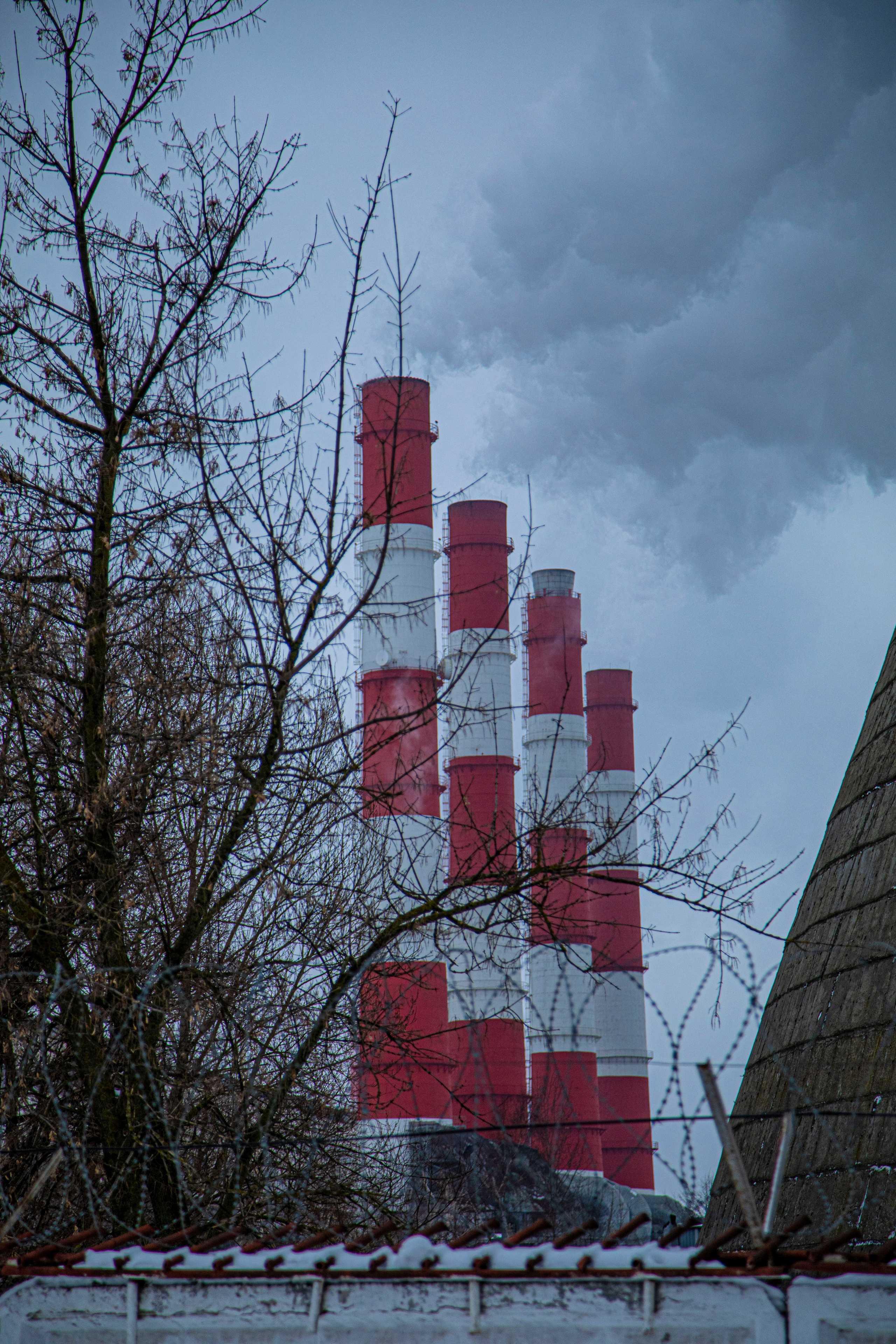 Про жизнь. Фотограф Сергей Ловкий