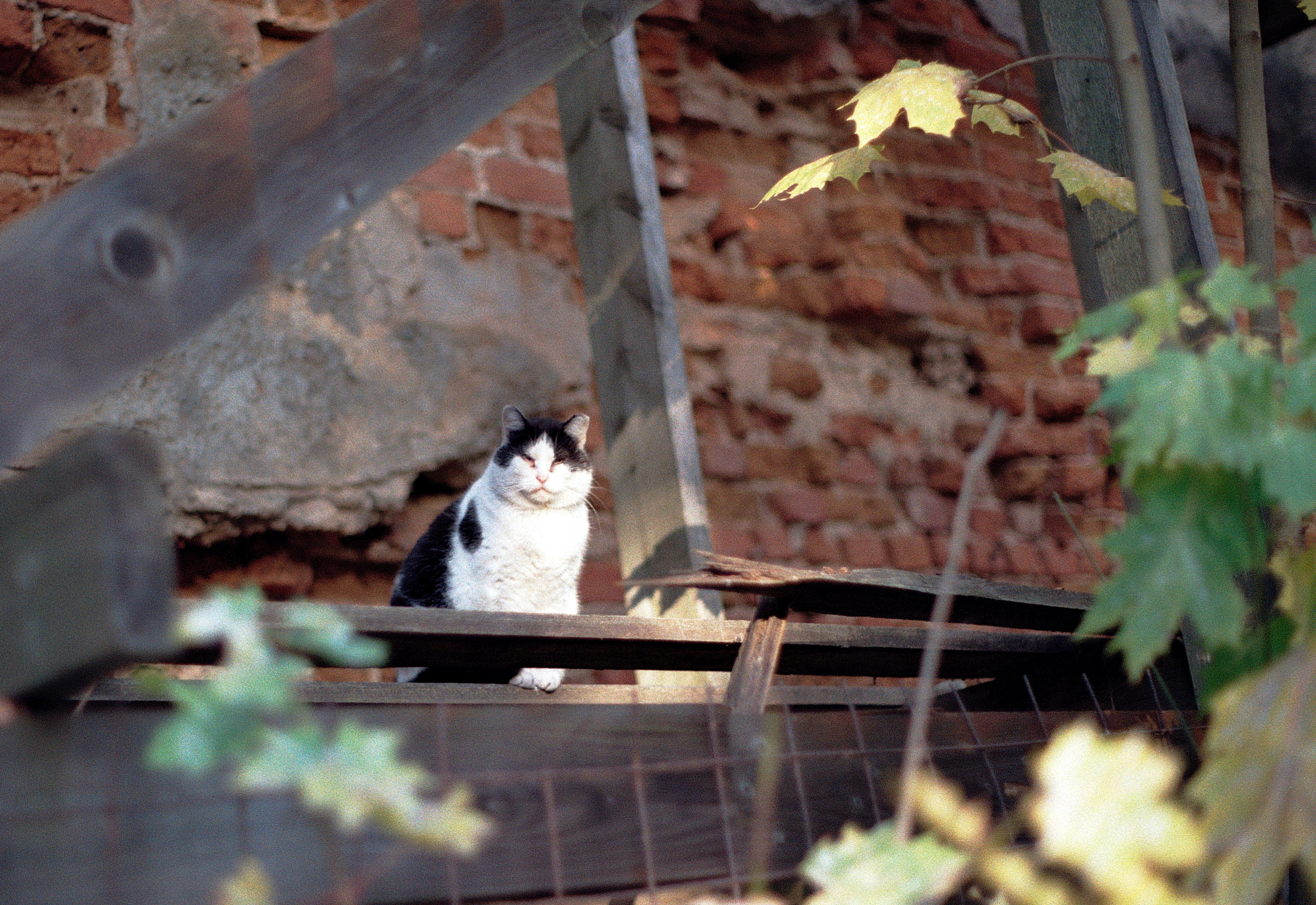 Love story E&A2. Stylist and film photographer Anastasia Shlokova