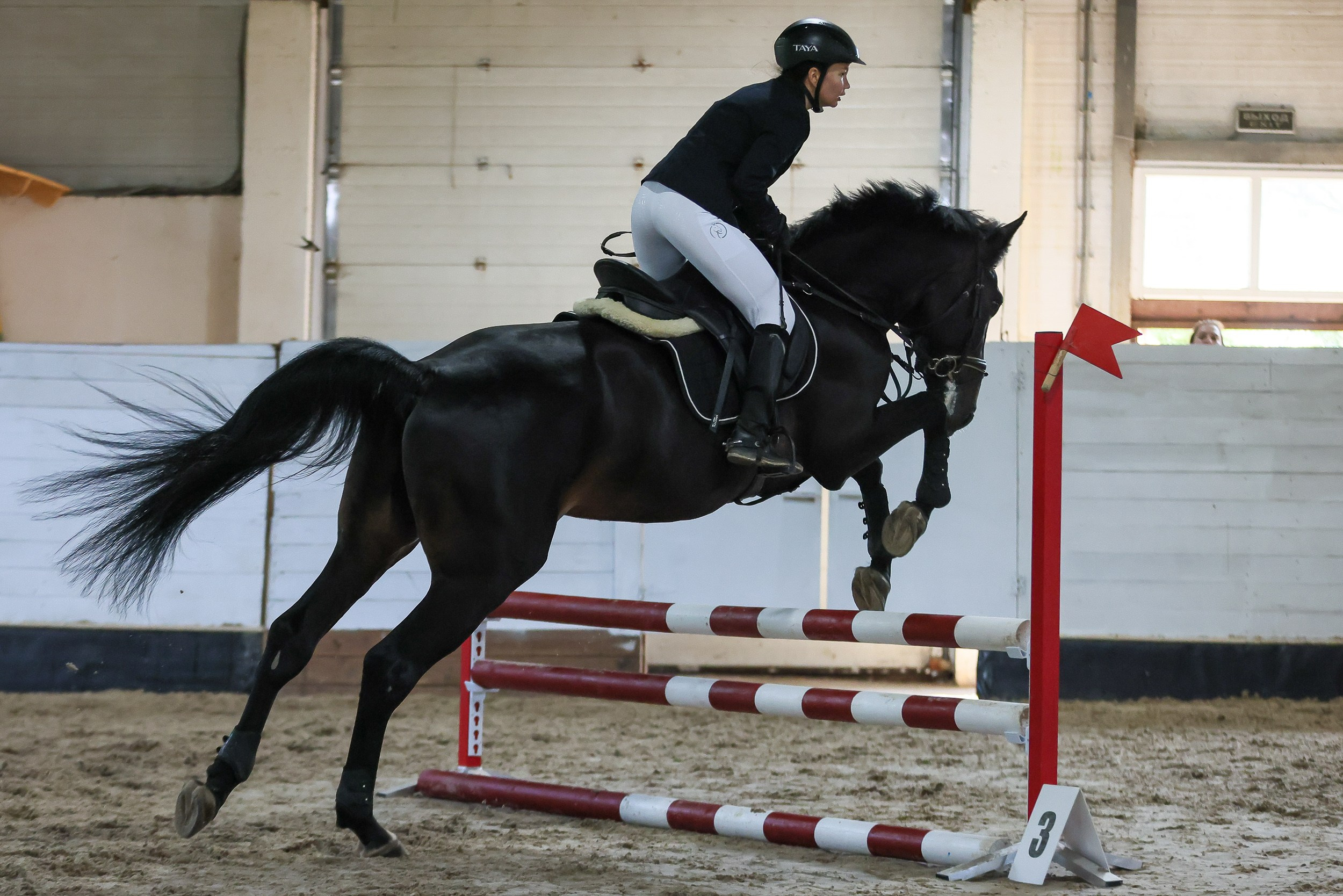 Конный спорт. Спортивный и корпоративный фотограф в Москве Олег Беспалов