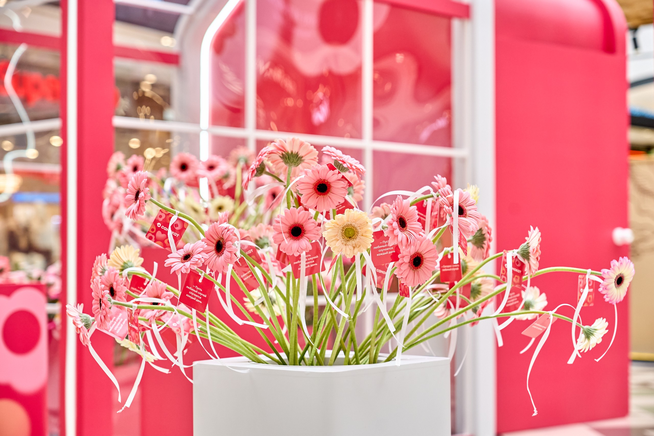 8 марта, Самокат. Контент-фотограф в Москве Тима Забабурин