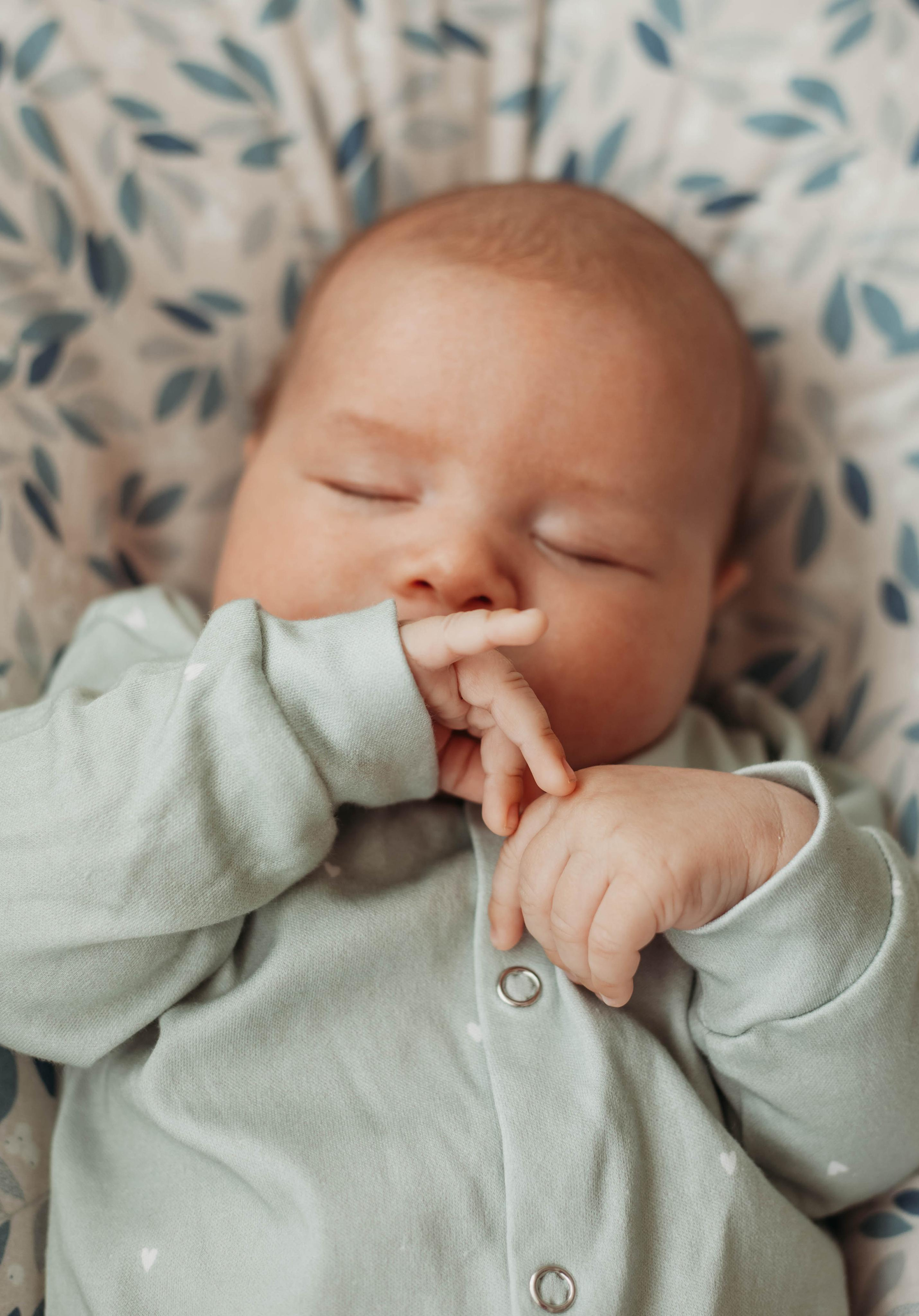 Давид. Семейный и детский фотограф Минск, Беларусь