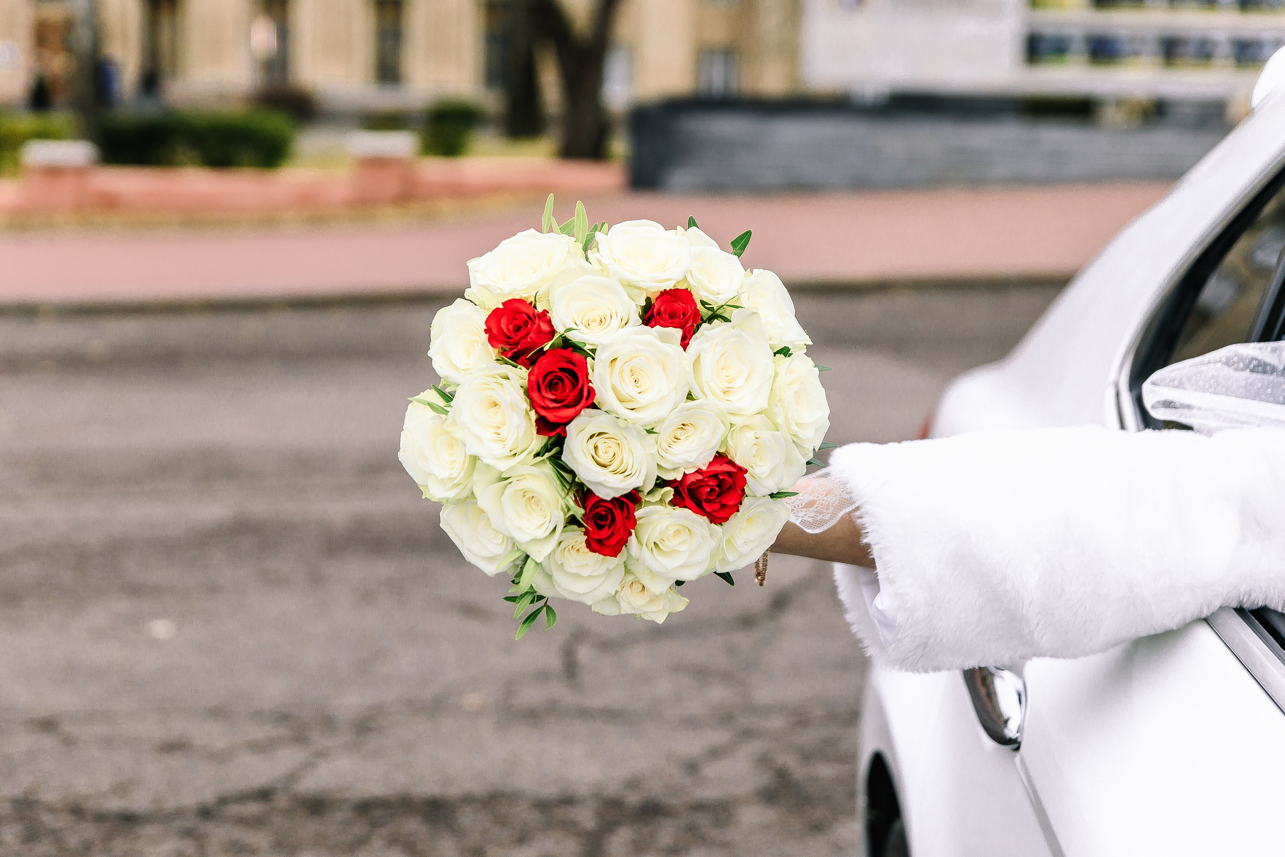 АЛЕНА И ДЕНИС. Свадебный и семейный фотограф в Курске и Курчатове